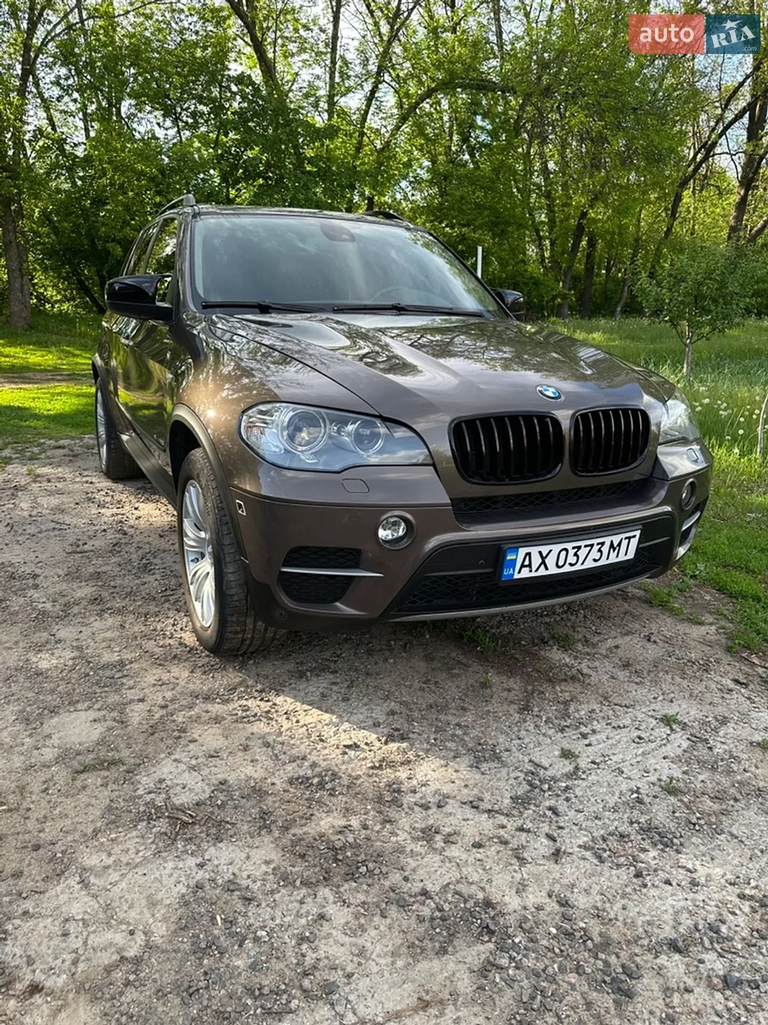 2010 BMW X5 - мініатюра 7