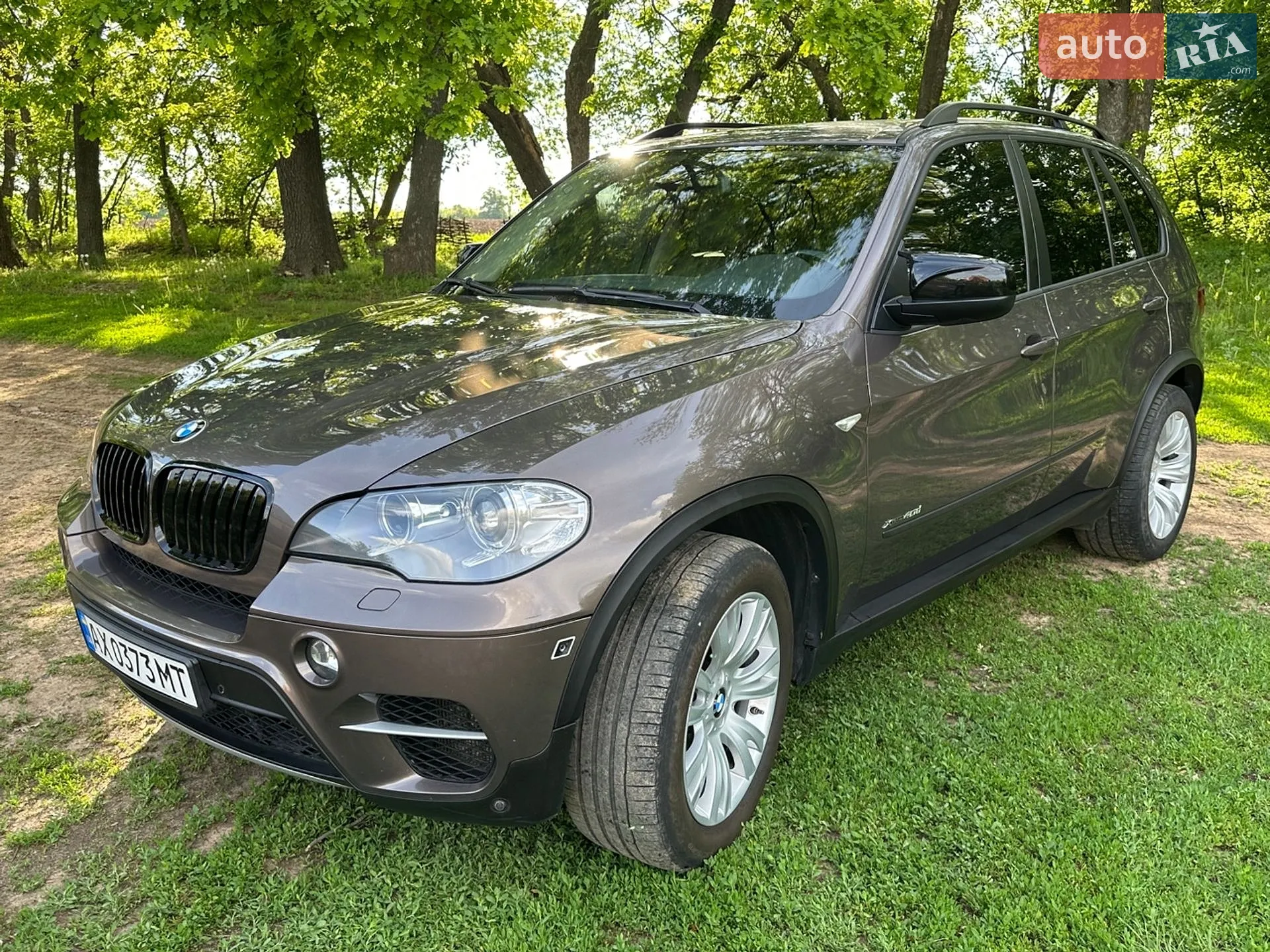 2010 BMW X5 - мініатюра 12