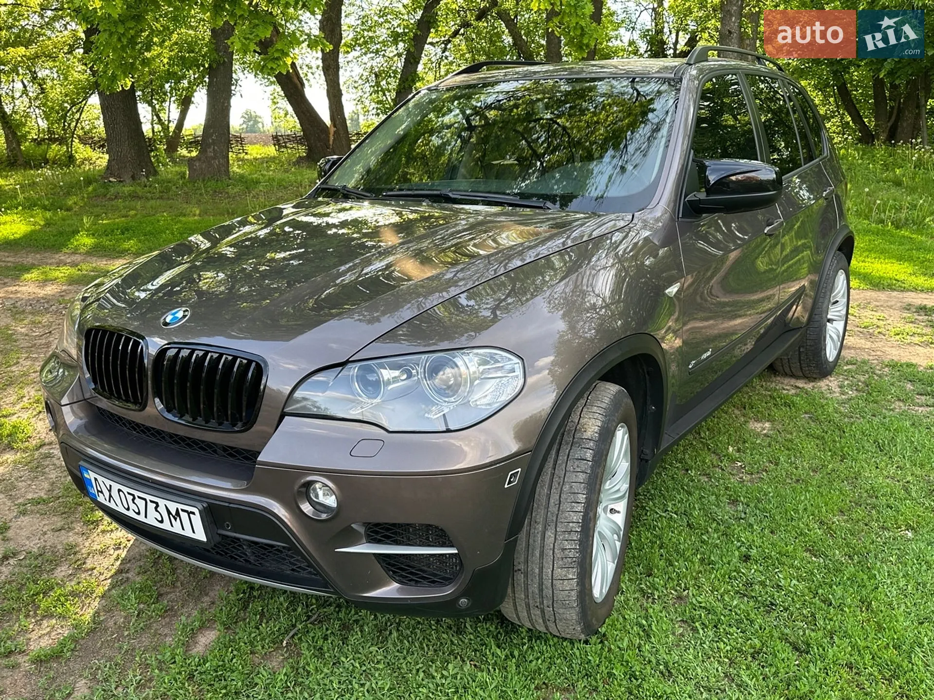 2010 BMW X5 - мініатюра 13