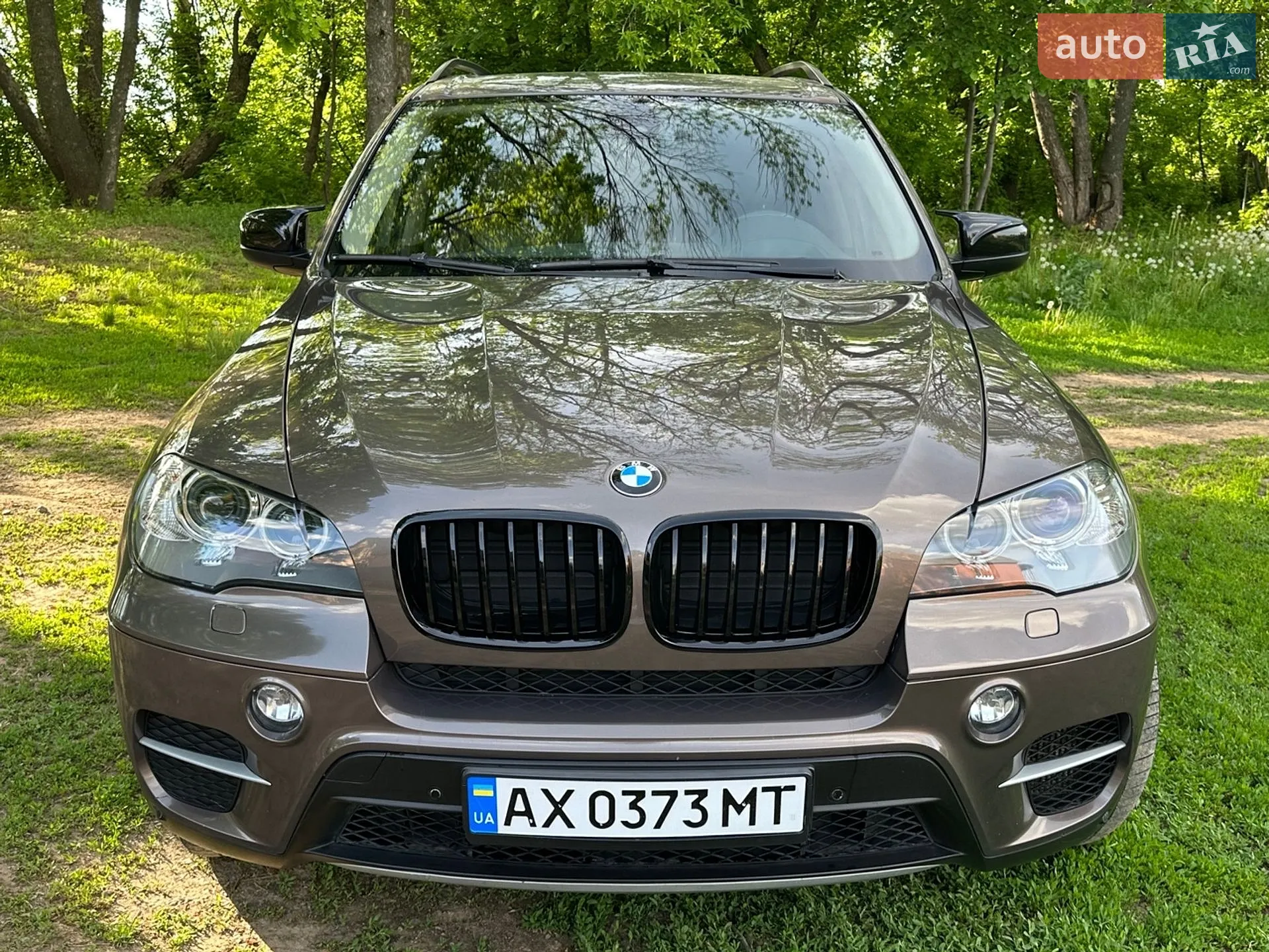 2010 BMW X5 - мініатюра 16
