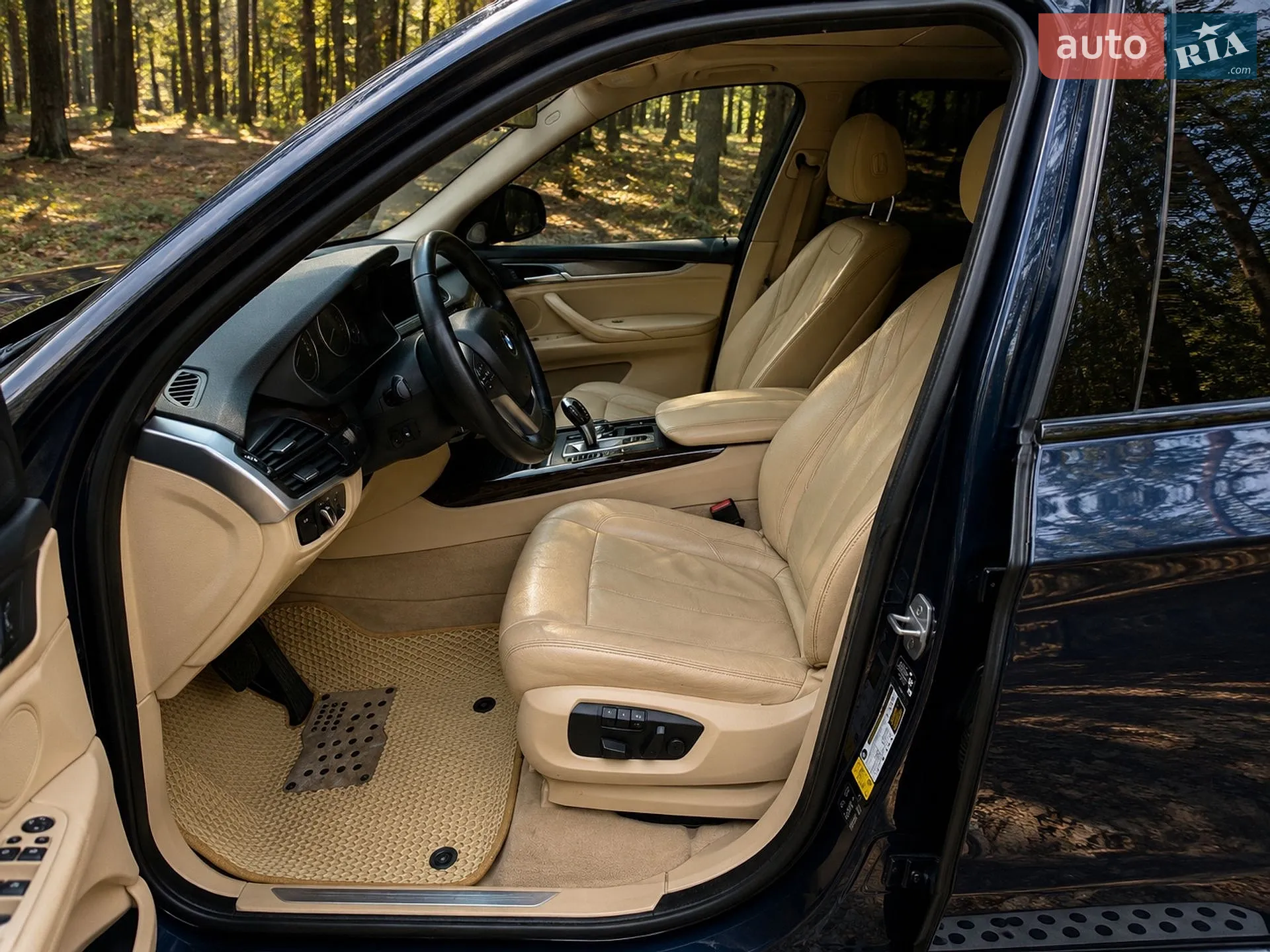 2014 BMW X5 - мініатюра 8