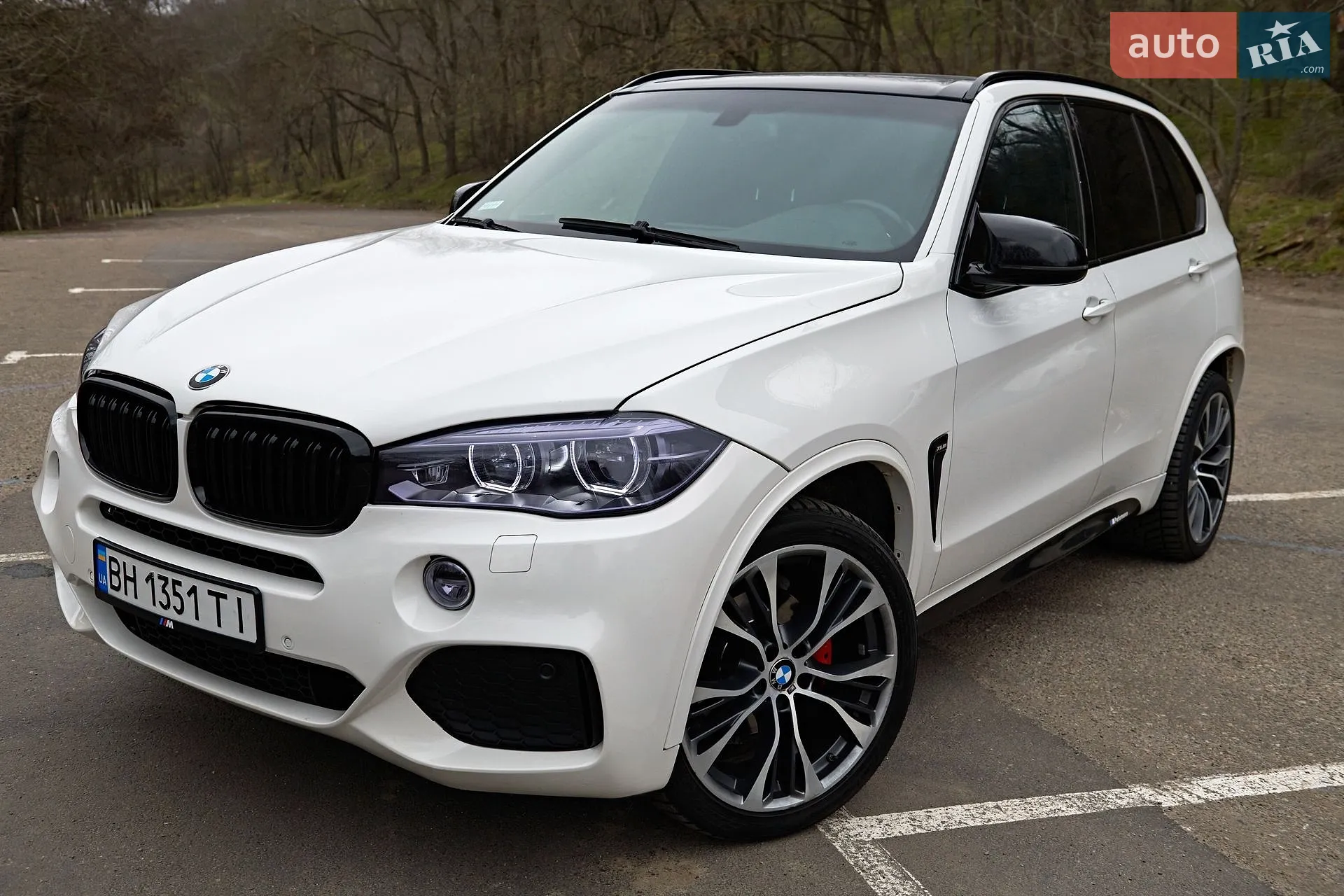 2014 BMW X5 - мініатюра 2