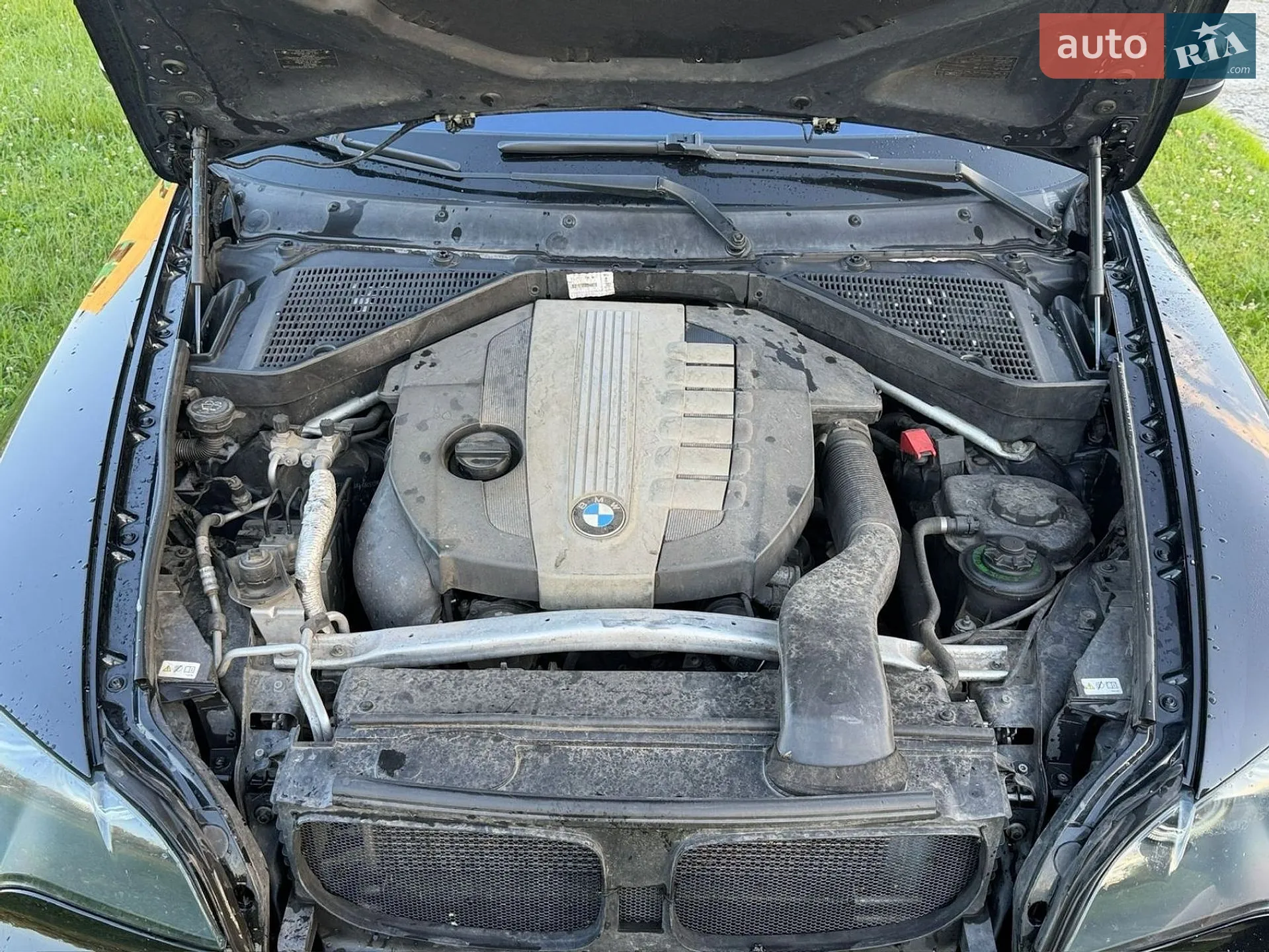 2010 BMW X5 - мініатюра 9