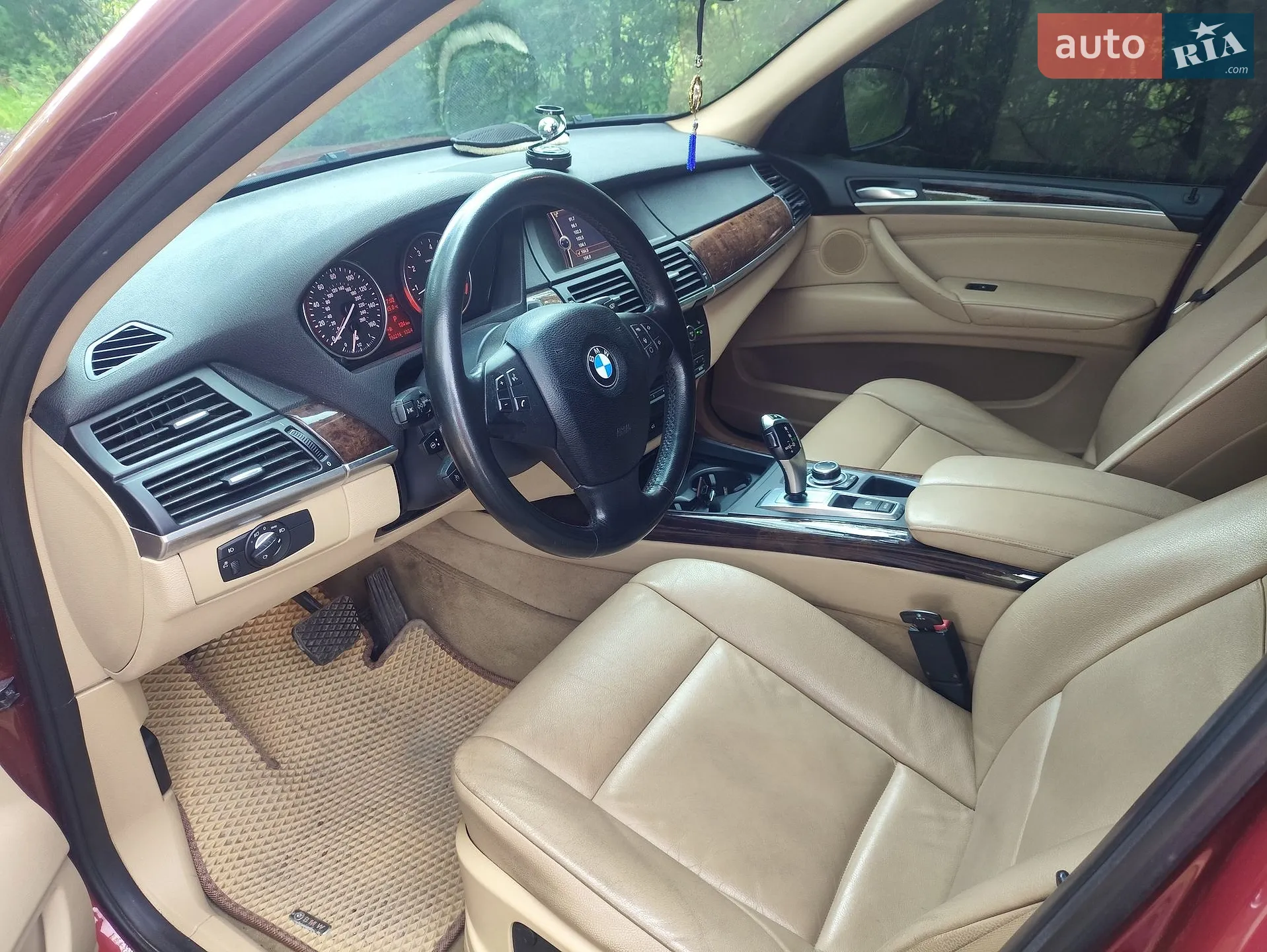 2010 BMW X5 - мініатюра 17