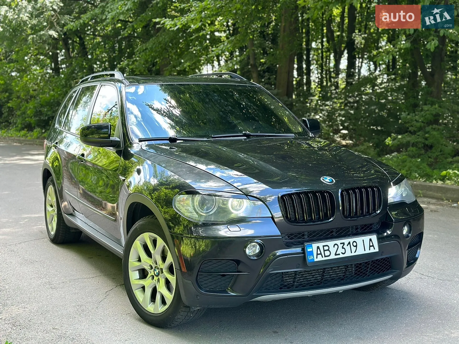 2010 BMW X5 - мініатюра 3