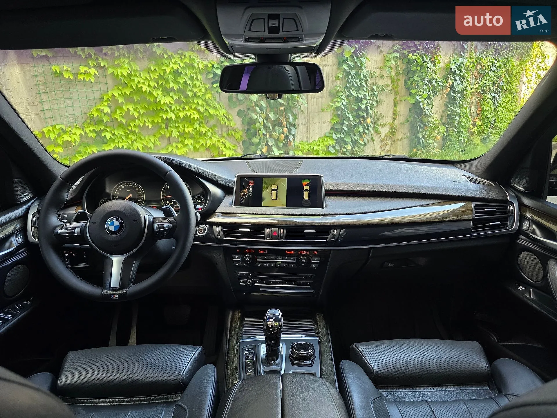 2013 BMW X5 - мініатюра 2