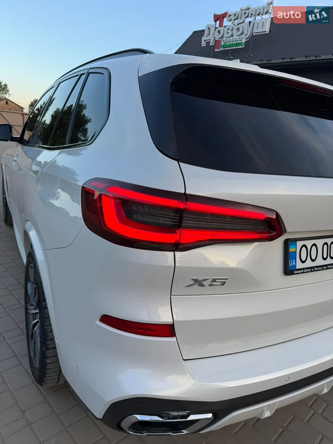 2019 BMW X5 - мініатюра 18
