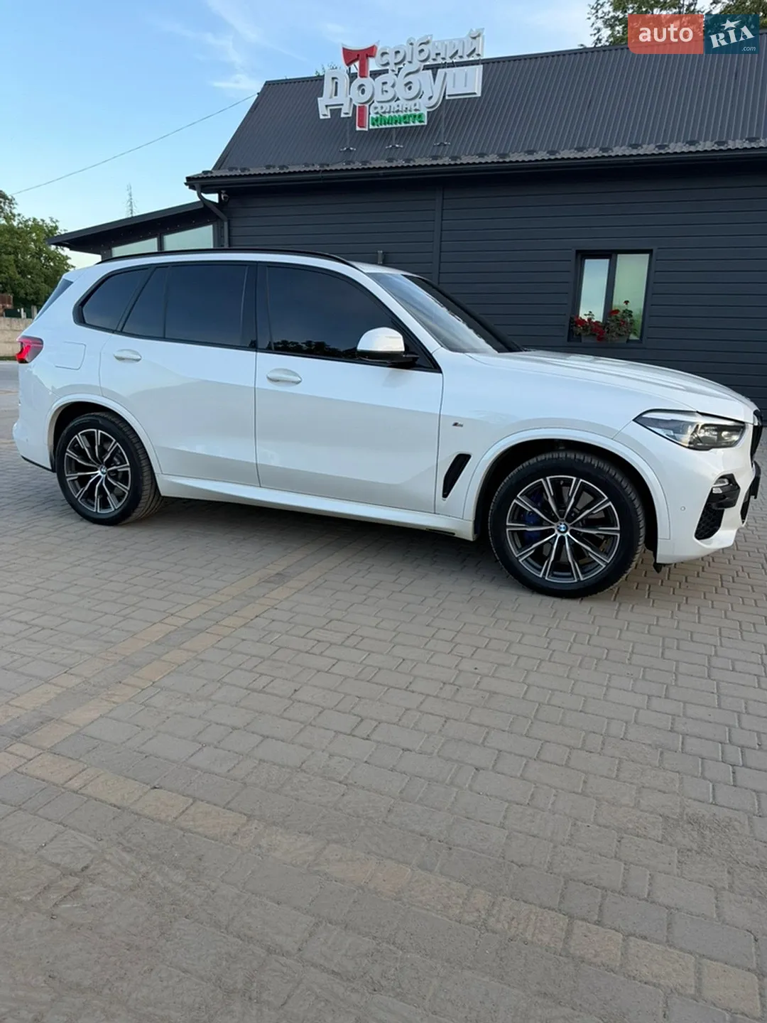 2019 BMW X5 - мініатюра 22