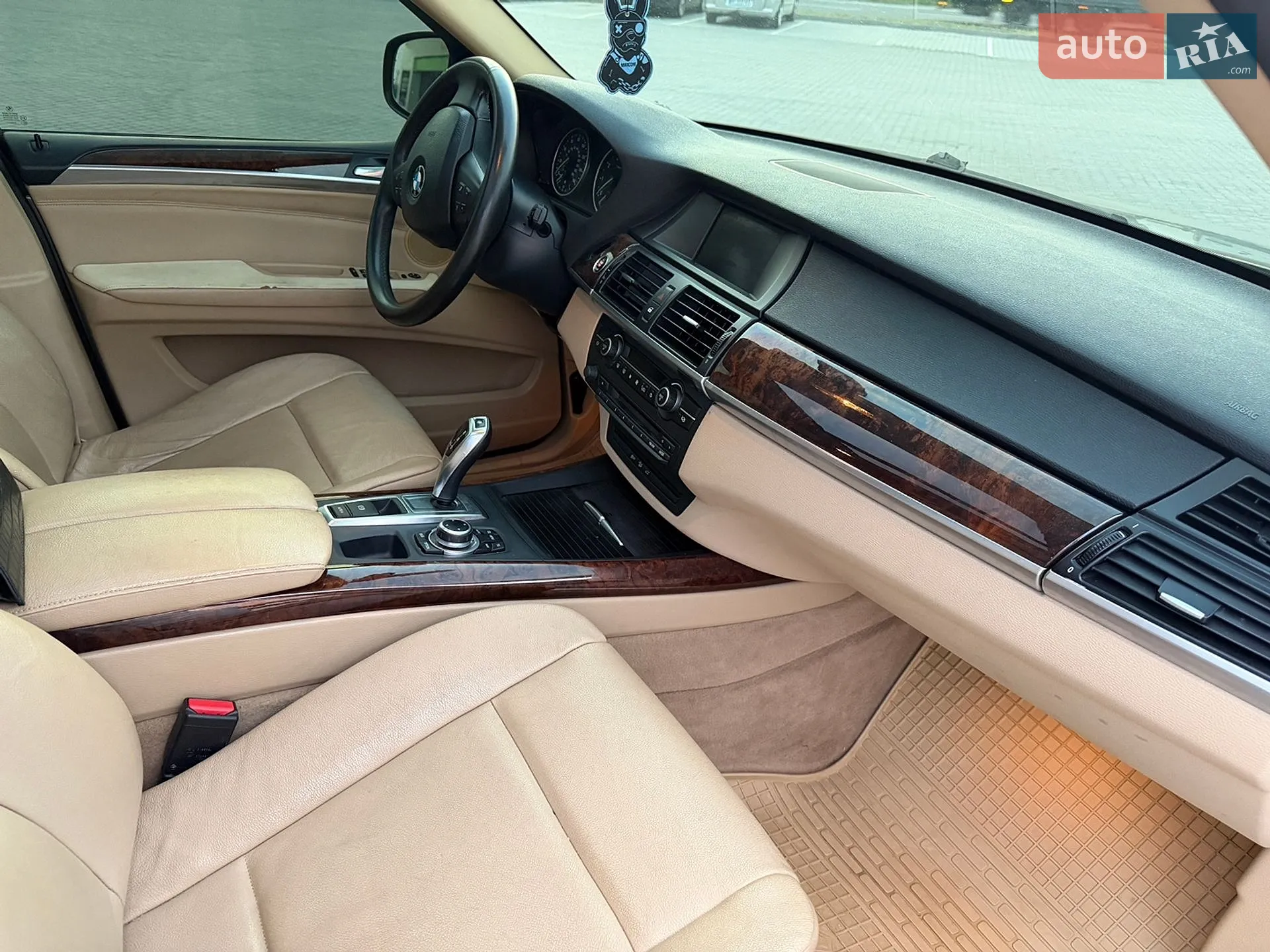 2010 BMW X5 - мініатюра 10