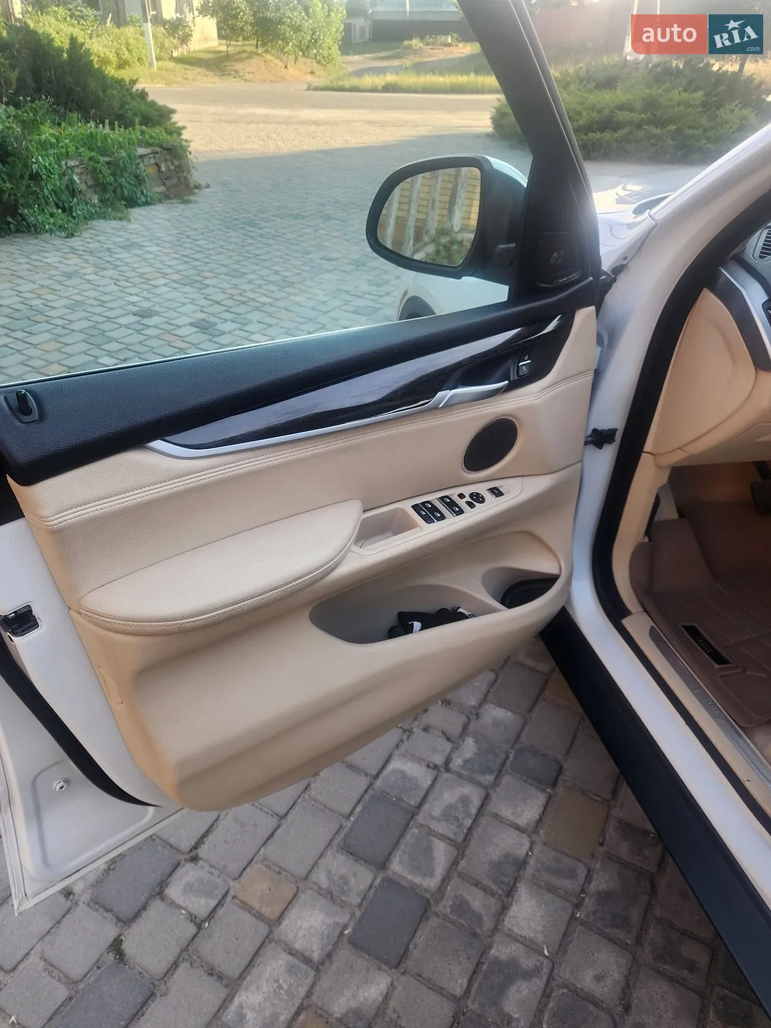 2013 BMW X5 - мініатюра 11