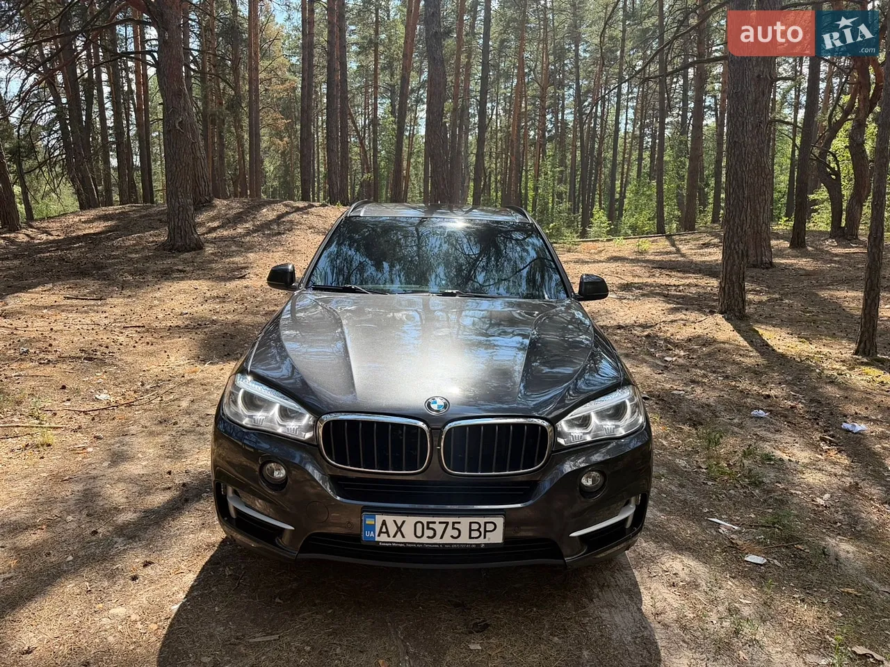 2017 BMW X5 - мініатюра 19