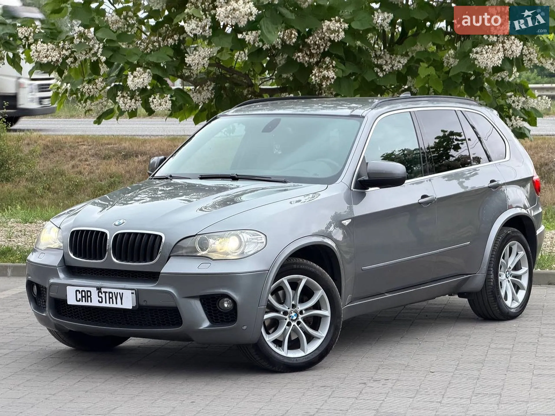 2010 BMW X5 - мініатюра 8