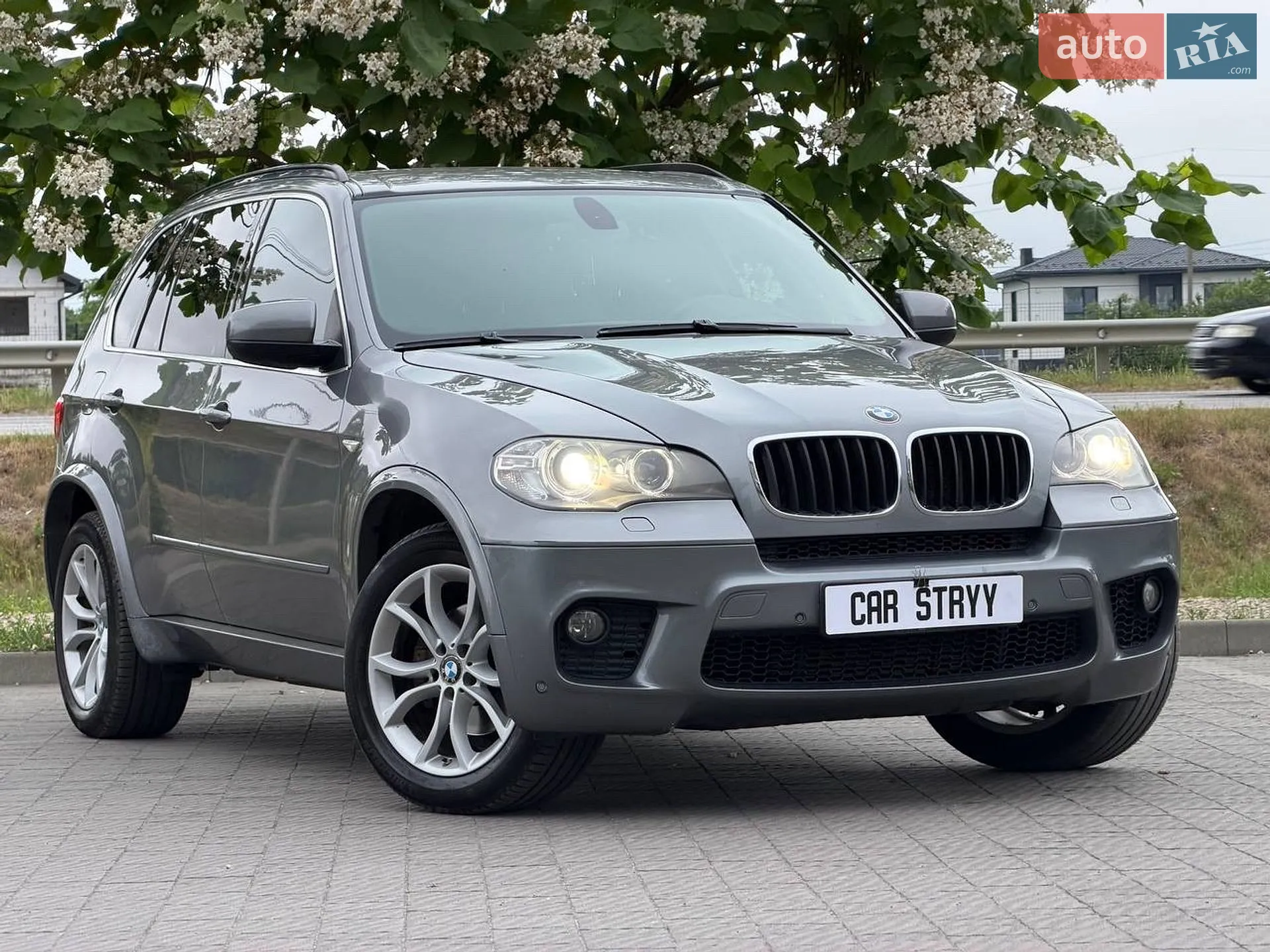 2010 BMW X5 - мініатюра 15