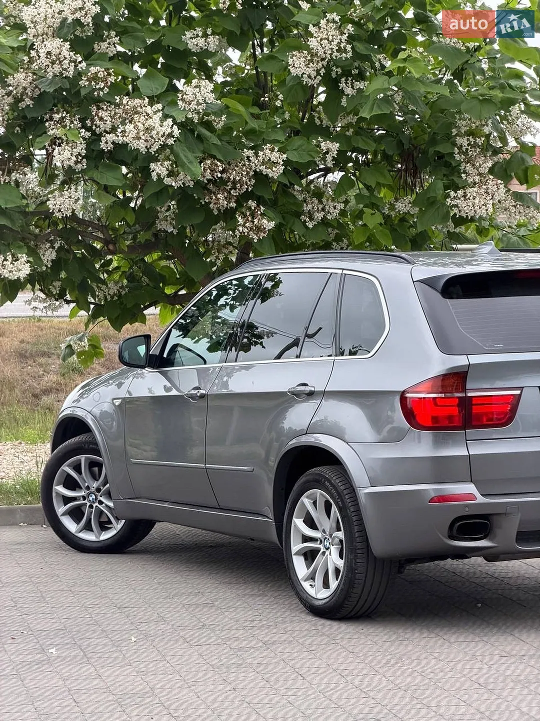 2010 BMW X5 - мініатюра 20