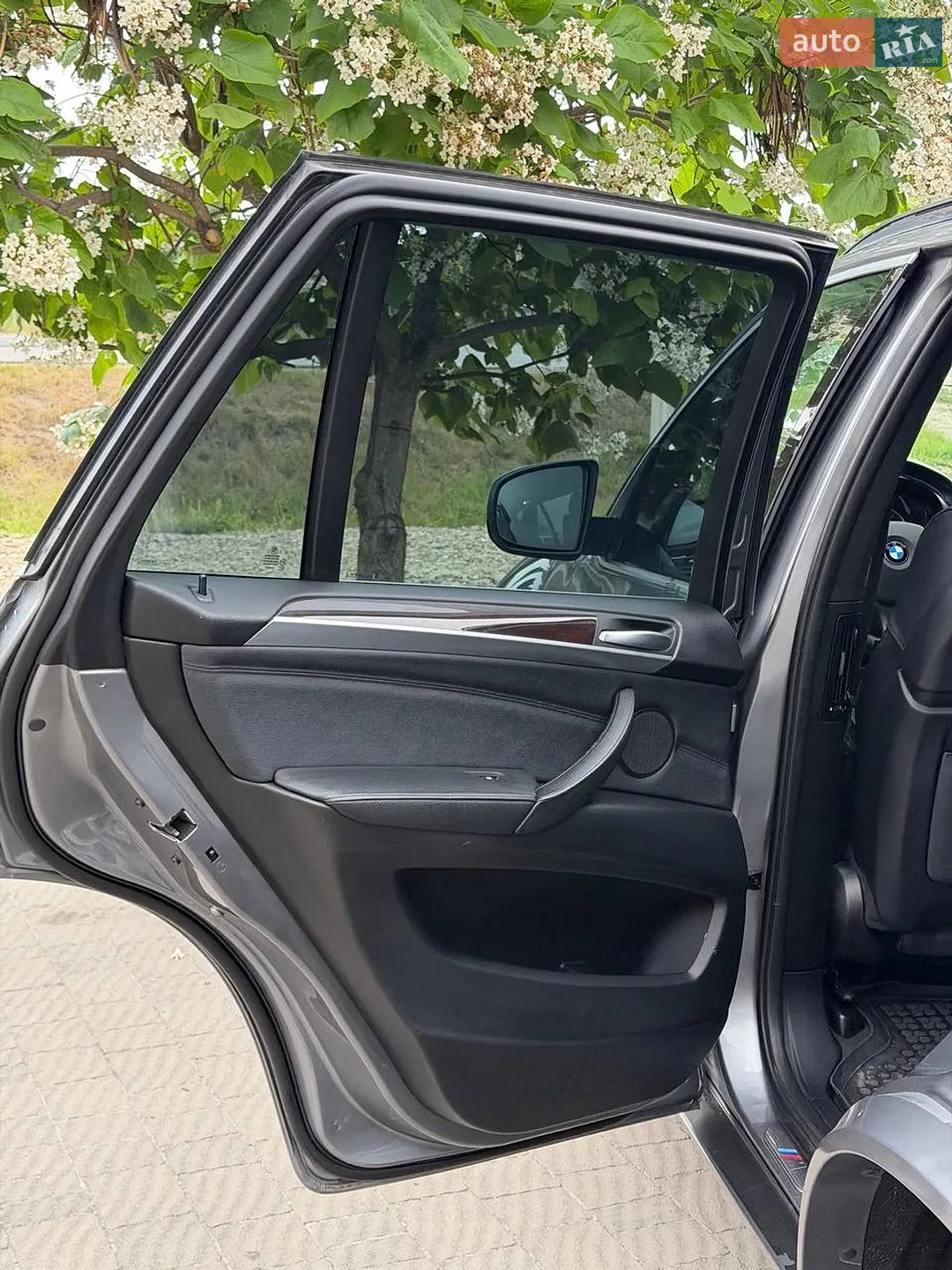 2010 BMW X5 - мініатюра 60