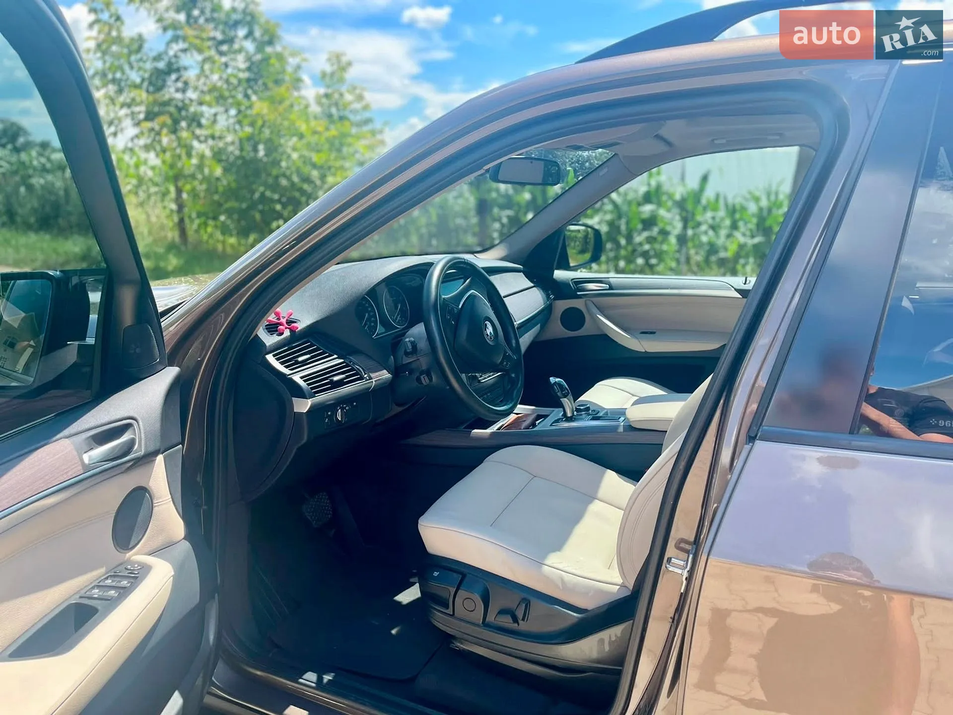 2010 BMW X5 - мініатюра 15
