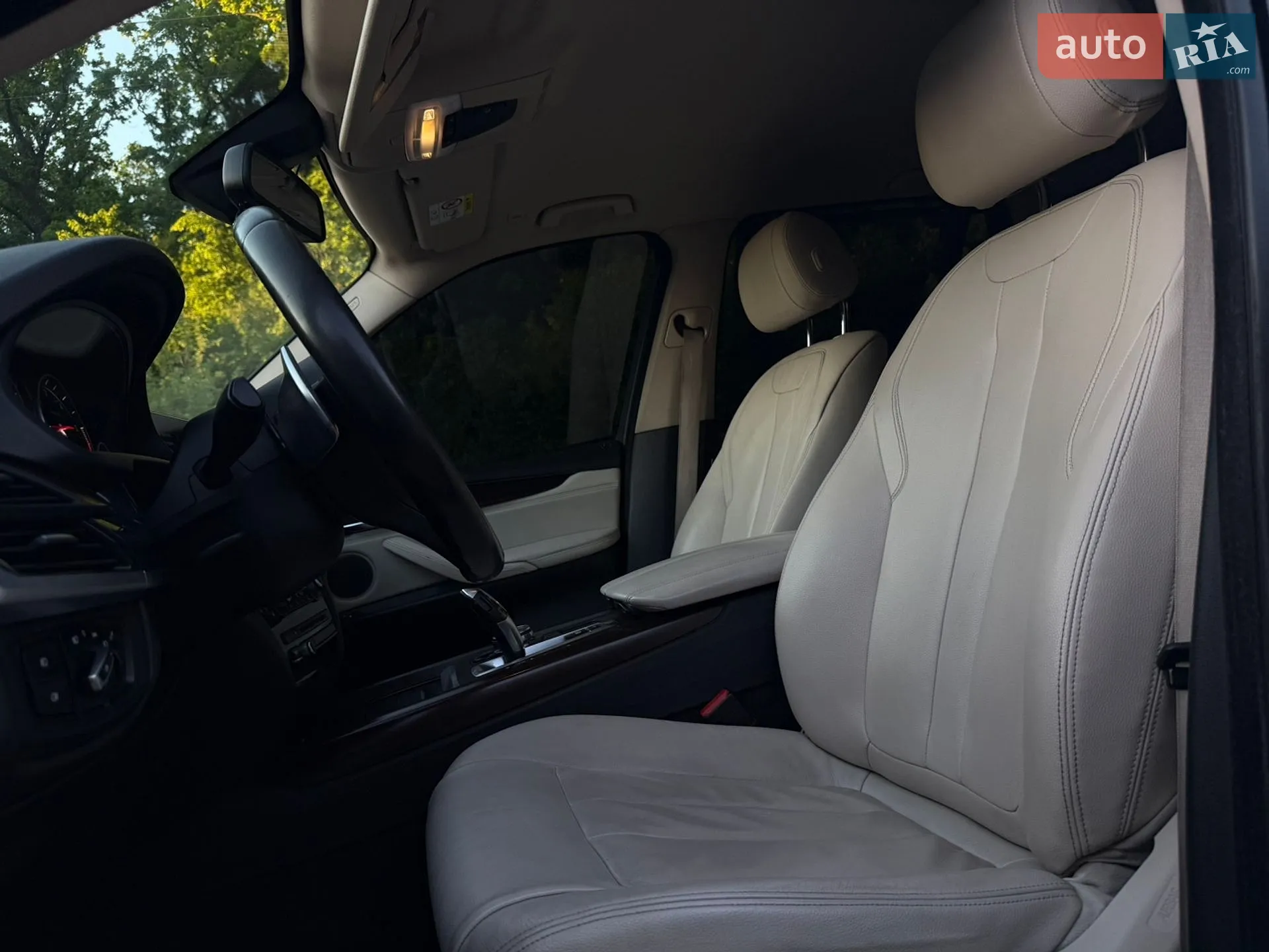 2014 BMW X5 - мініатюра 50