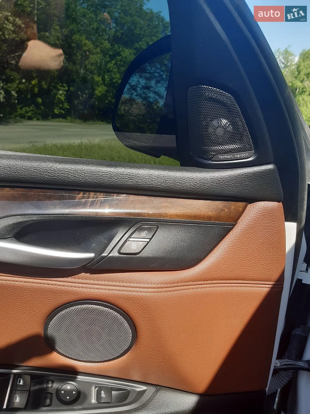2014 BMW X5 - мініатюра 20
