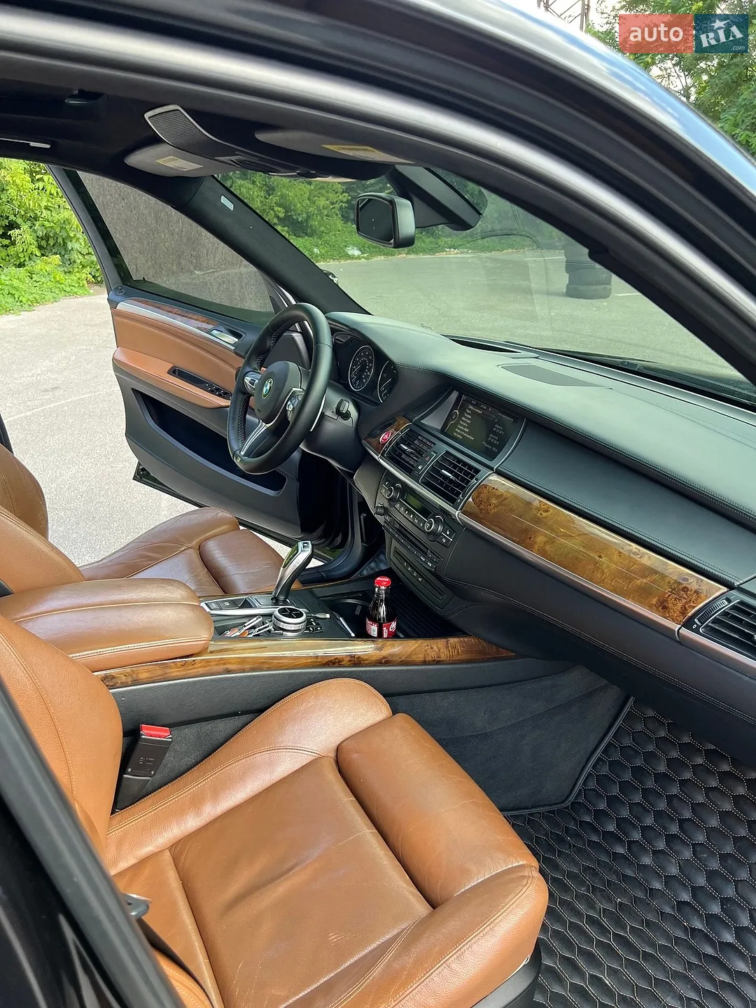 2010 BMW X5 - мініатюра 13