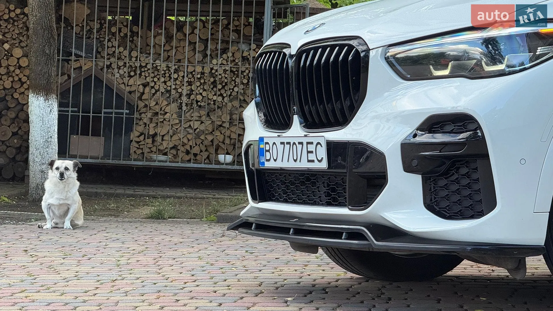 2022 BMW X5 - мініатюра 4