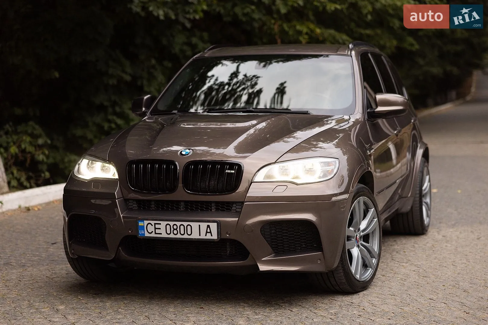 2010 BMW X5 - мініатюра 6