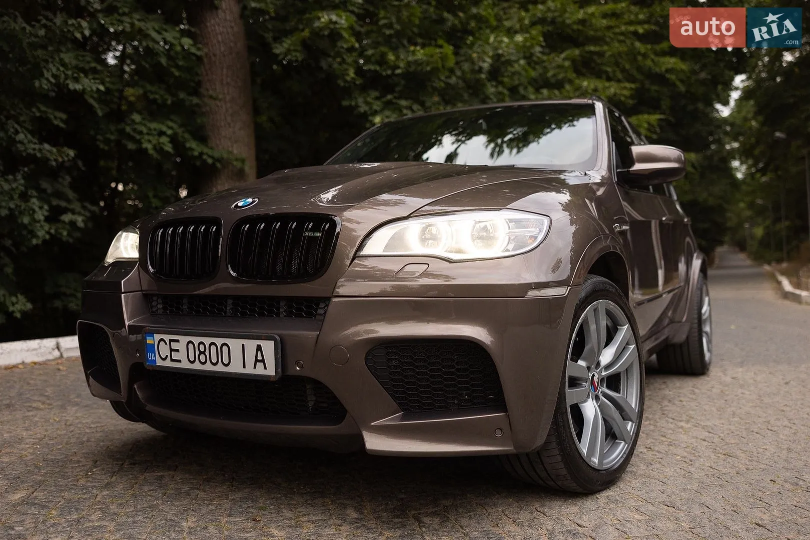 2010 BMW X5 - мініатюра 7