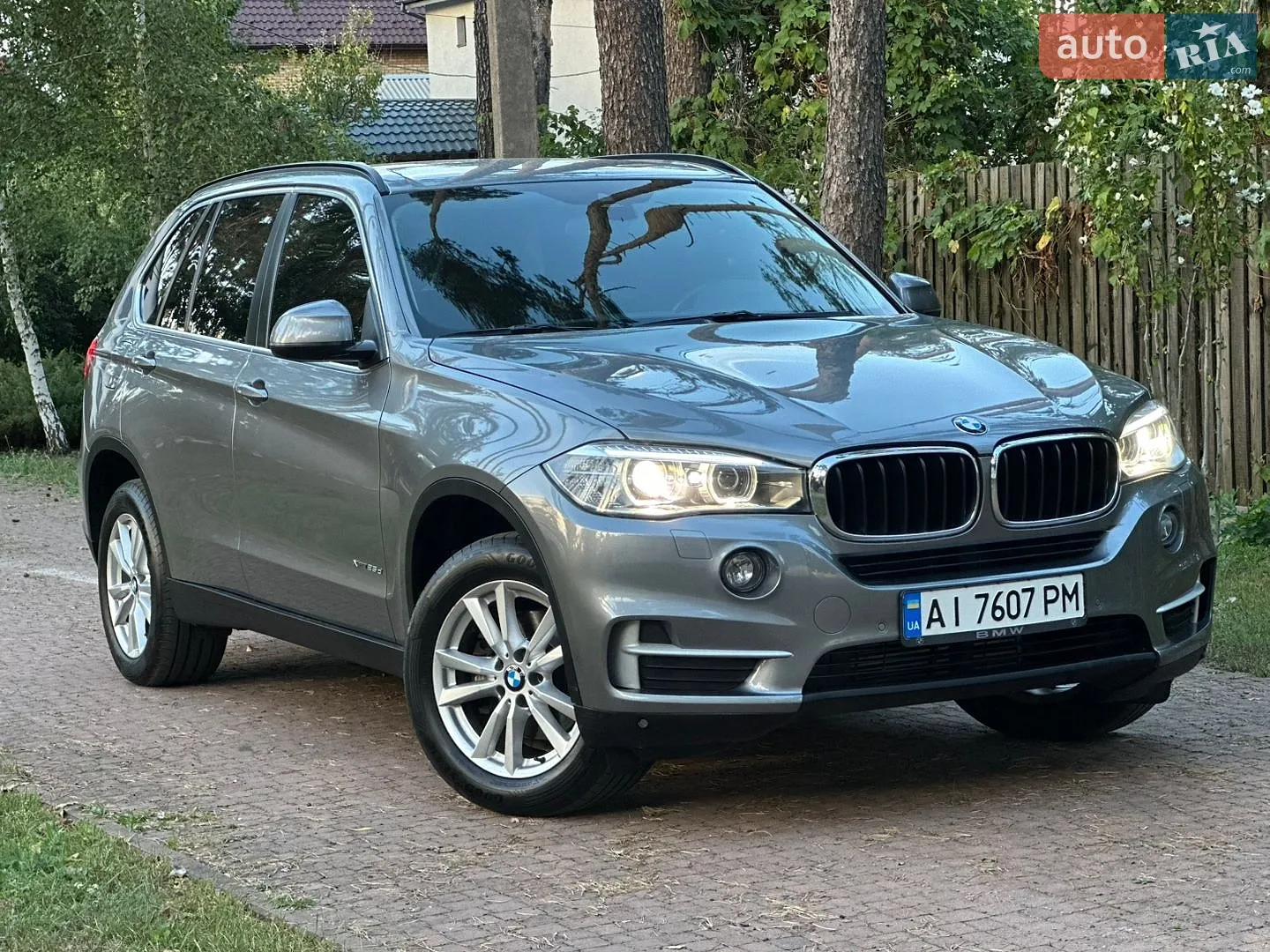2014 BMW X5 - мініатюра 4