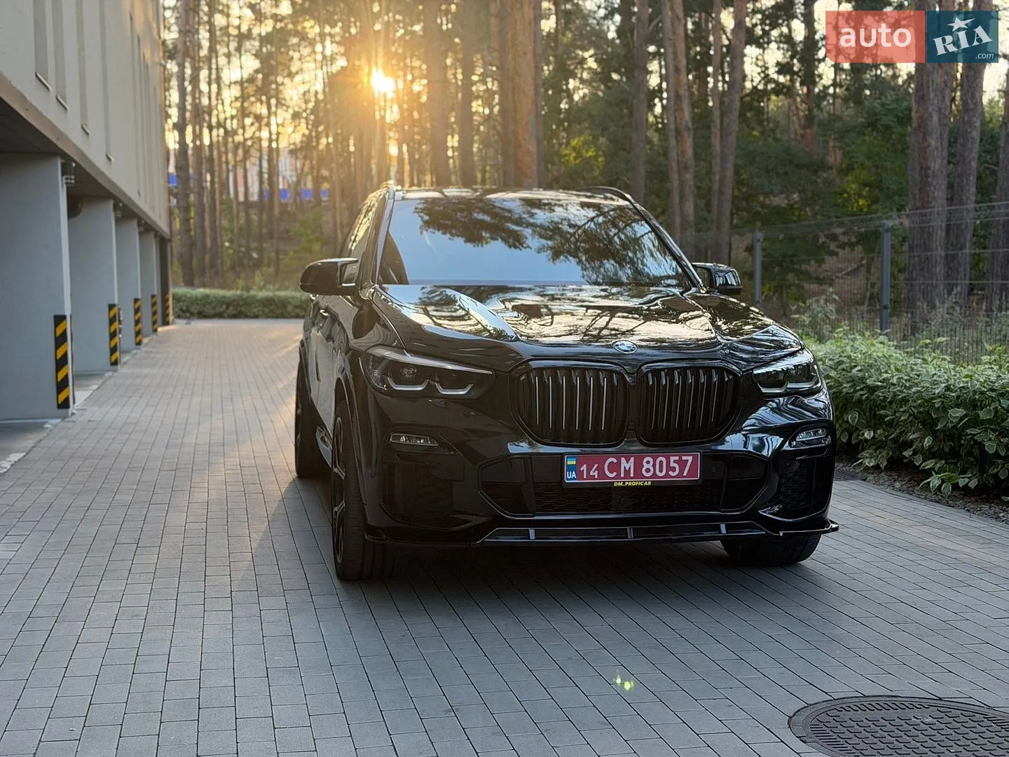2018 BMW X5 - мініатюра 41