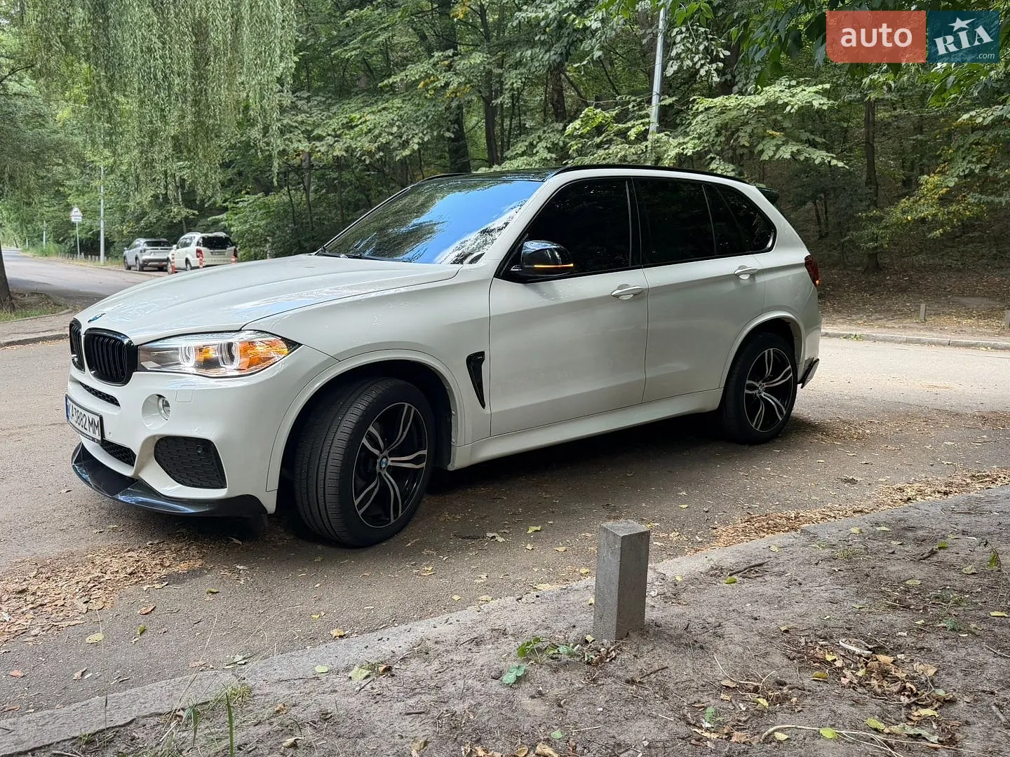 2014 BMW X5 - мініатюра 4