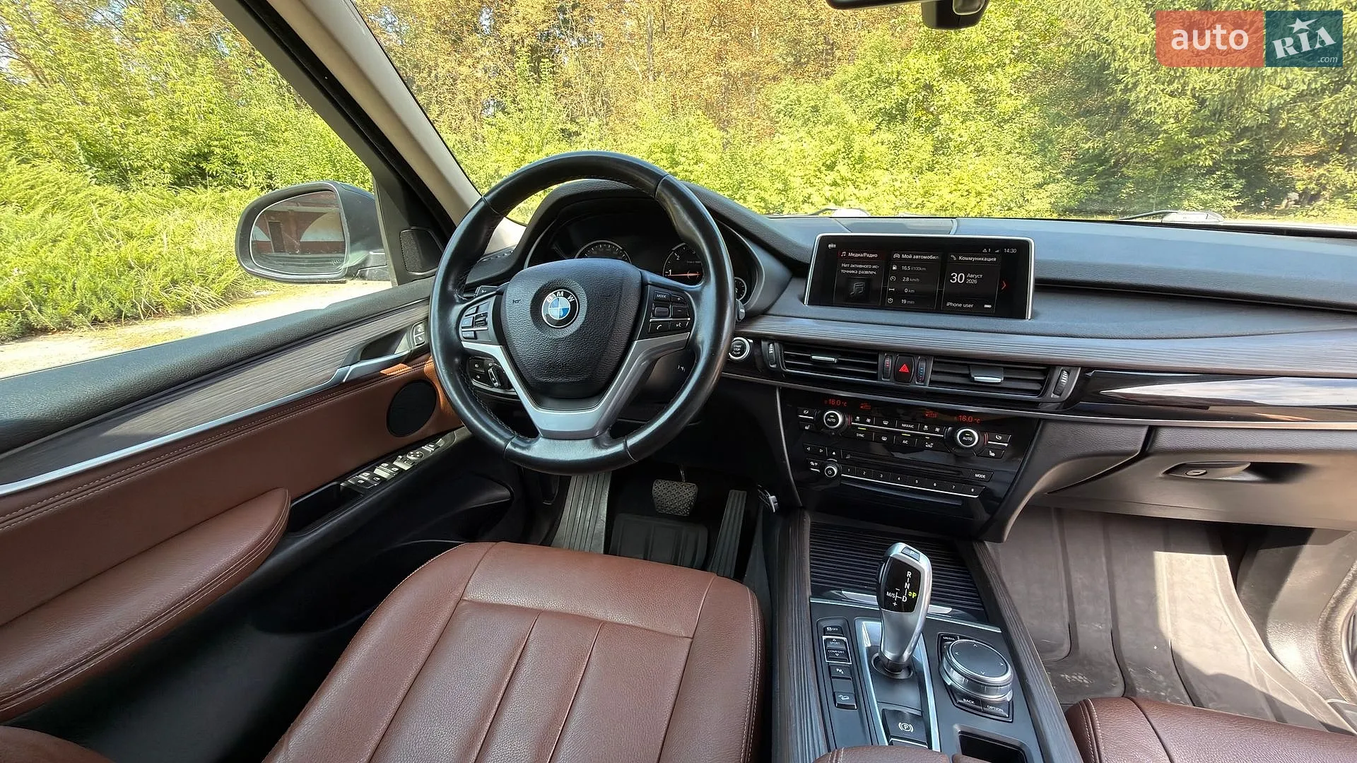 2018 BMW X5 - мініатюра 32