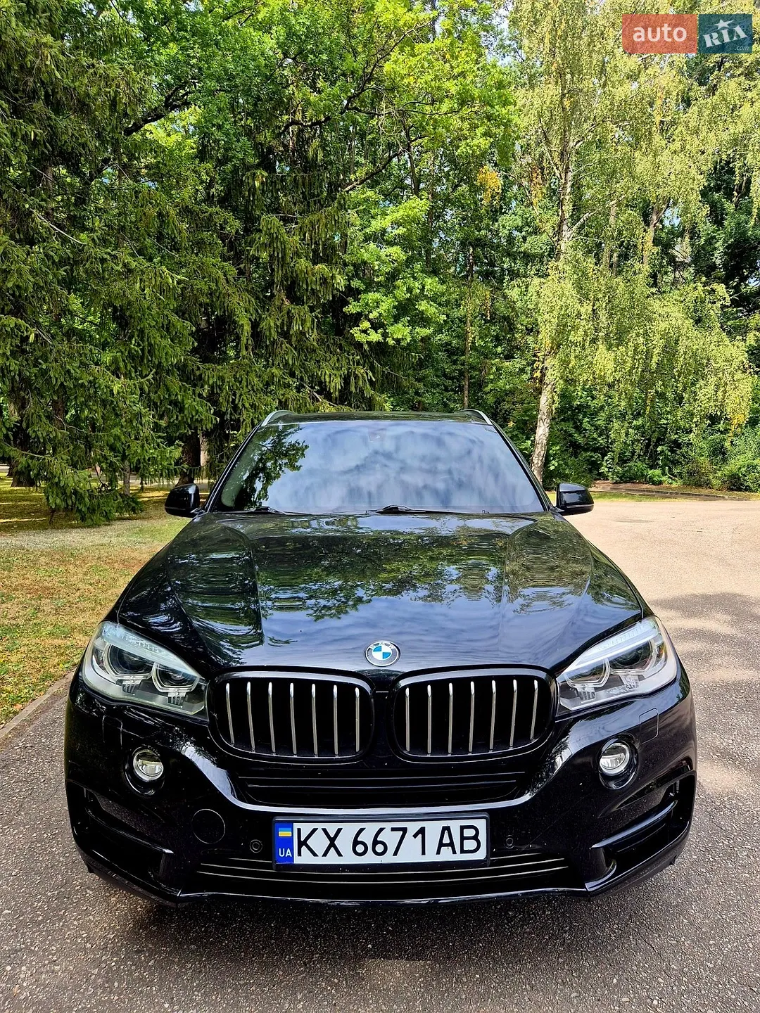 2013 BMW X5 - мініатюра 5