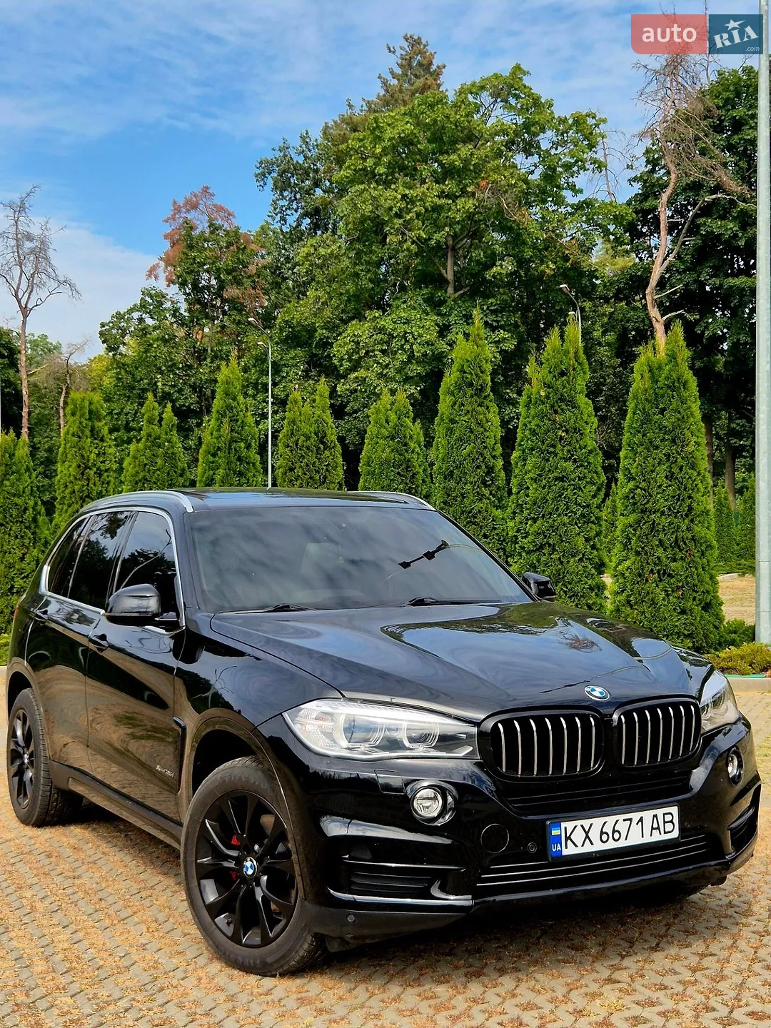 2013 BMW X5 - мініатюра 2