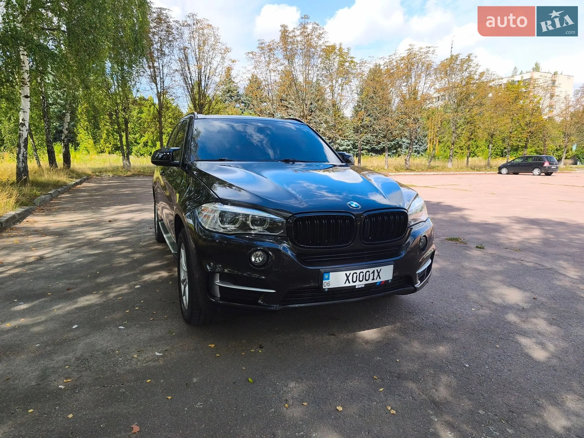 2014 BMW X5 - мініатюра 4