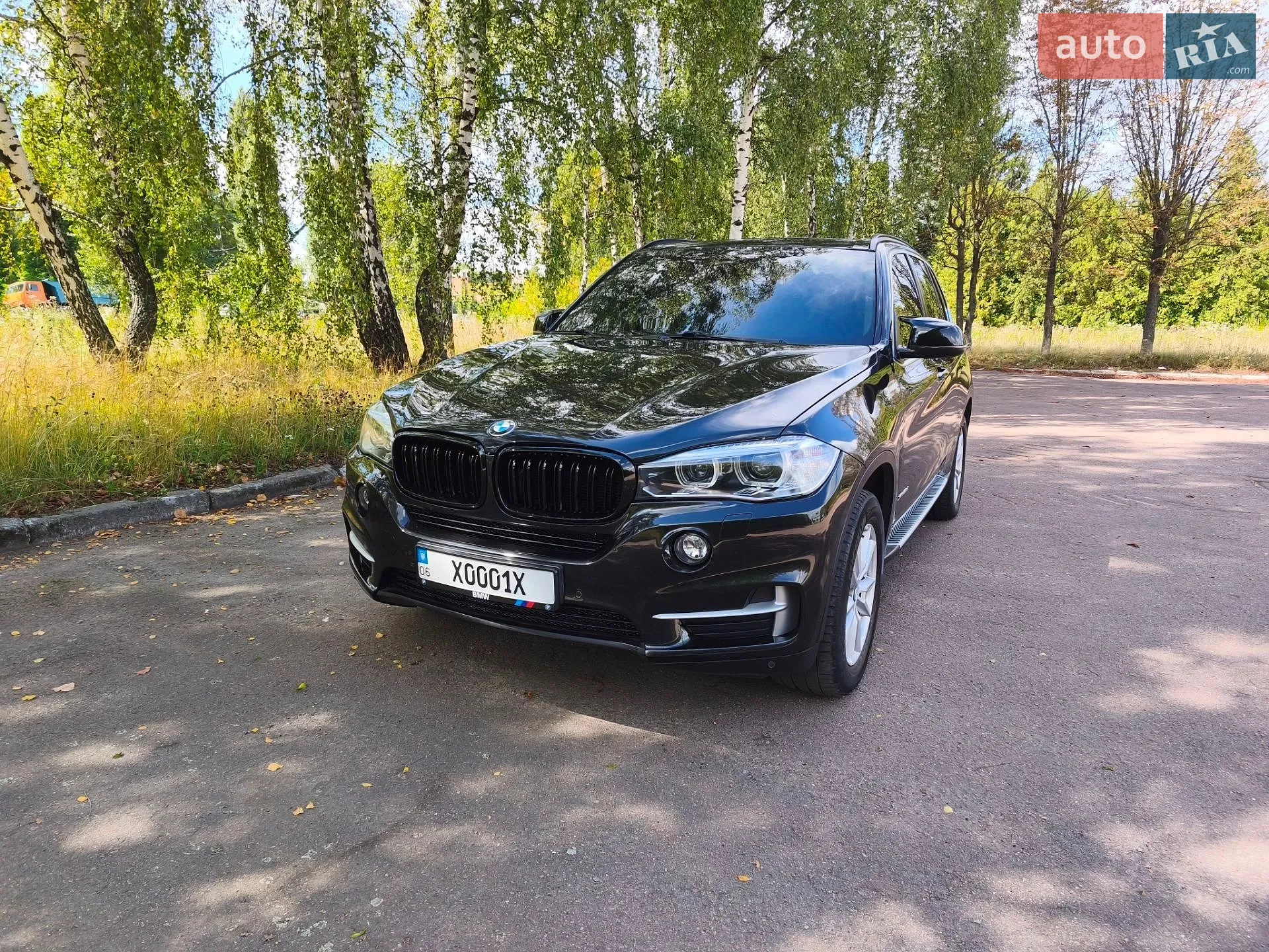 2014 BMW X5 - мініатюра 3