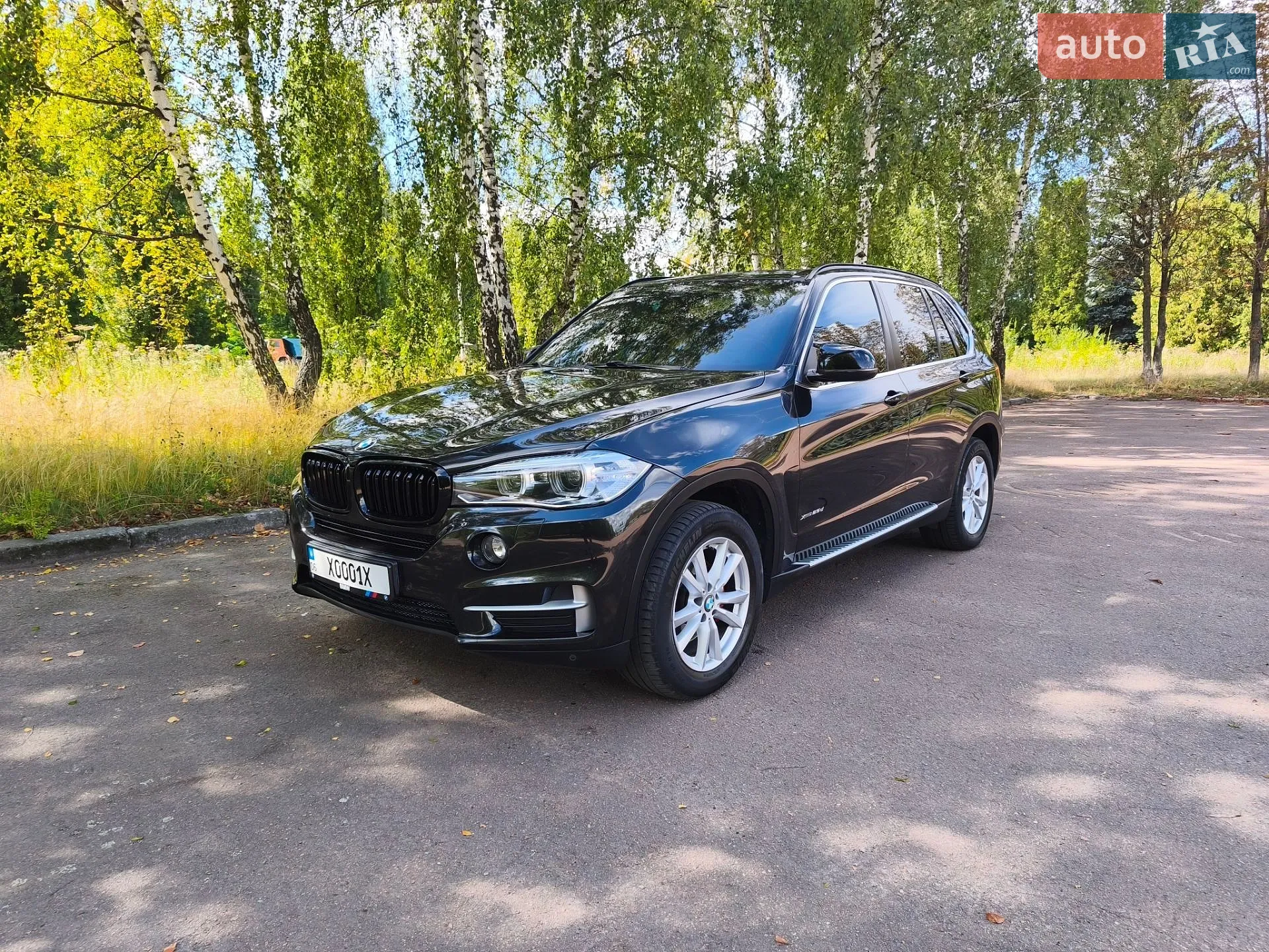 2014 BMW X5 - мініатюра 8