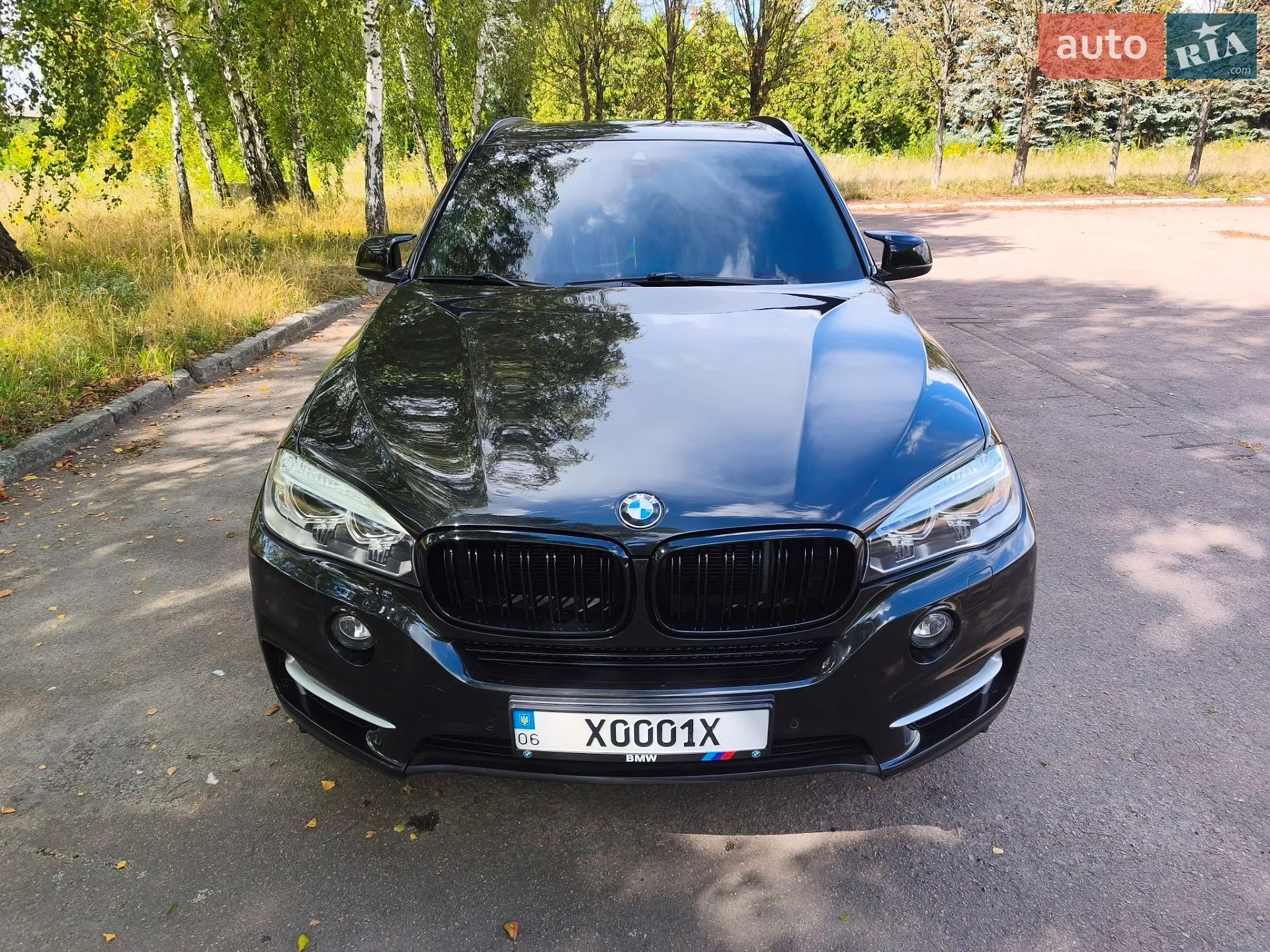 2014 BMW X5 - мініатюра 18