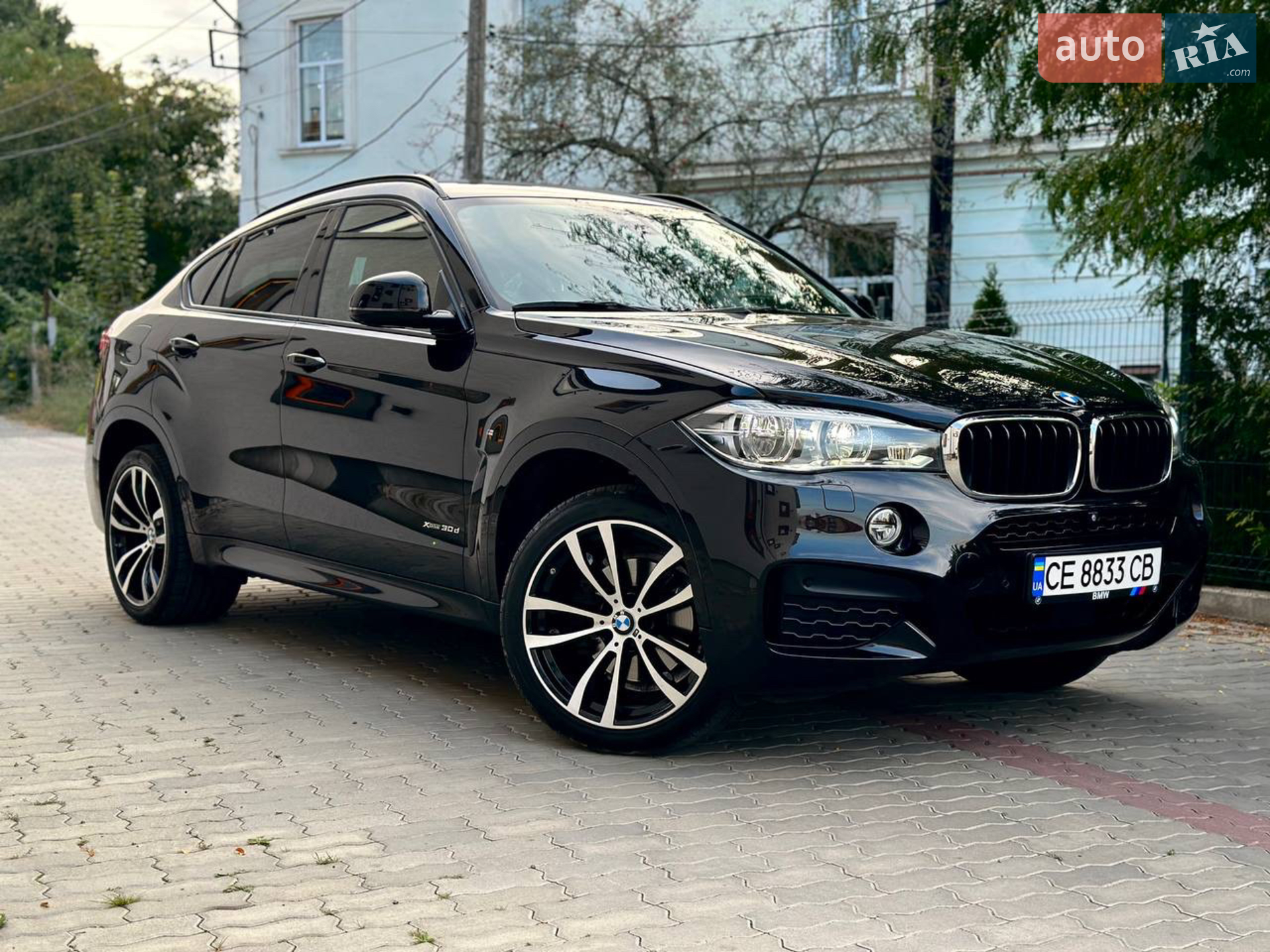 2019 BMW X6 - мініатюра 4