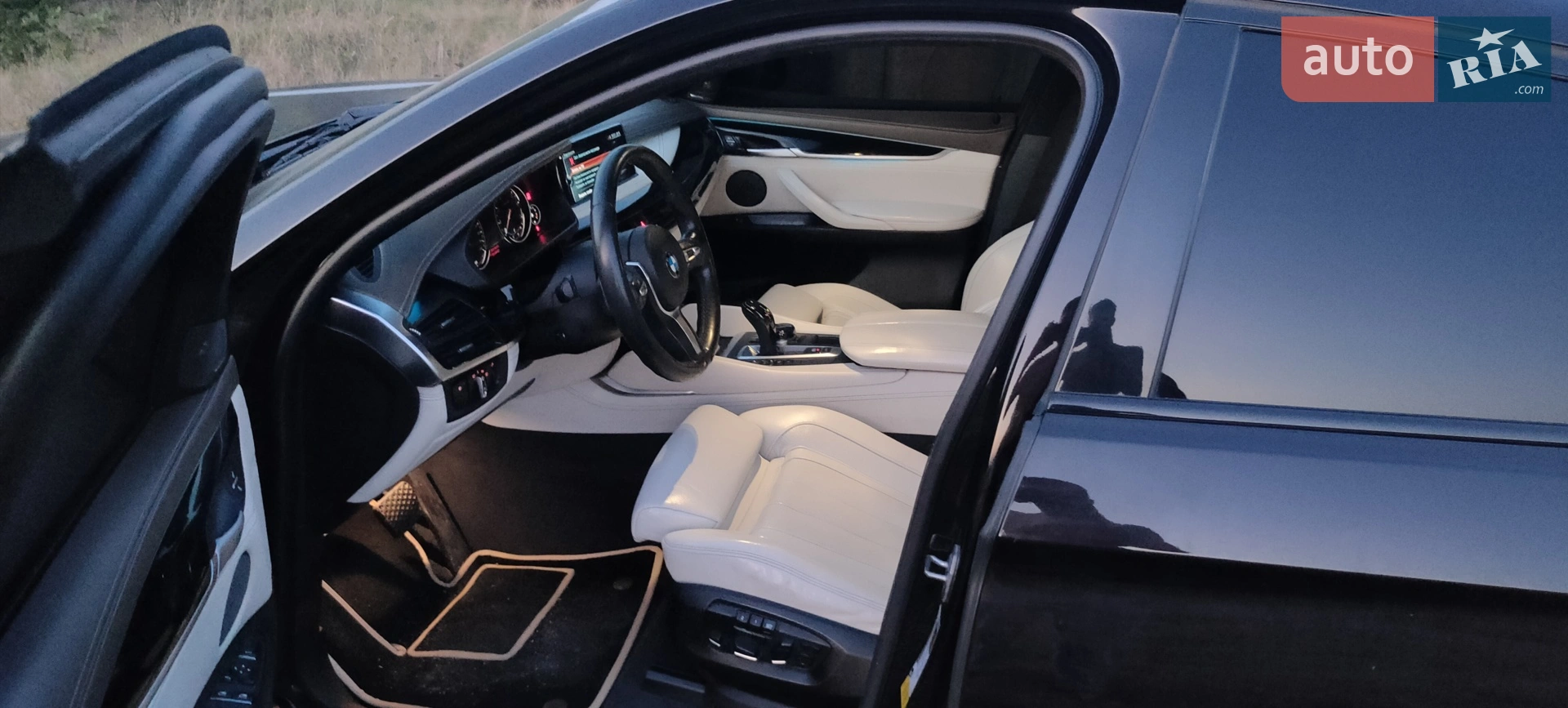2017 BMW X6 - мініатюра 46