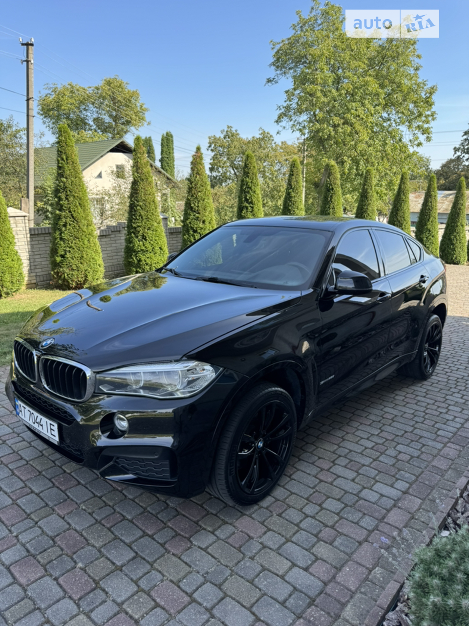 2018 BMW X6 - мініатюра 50