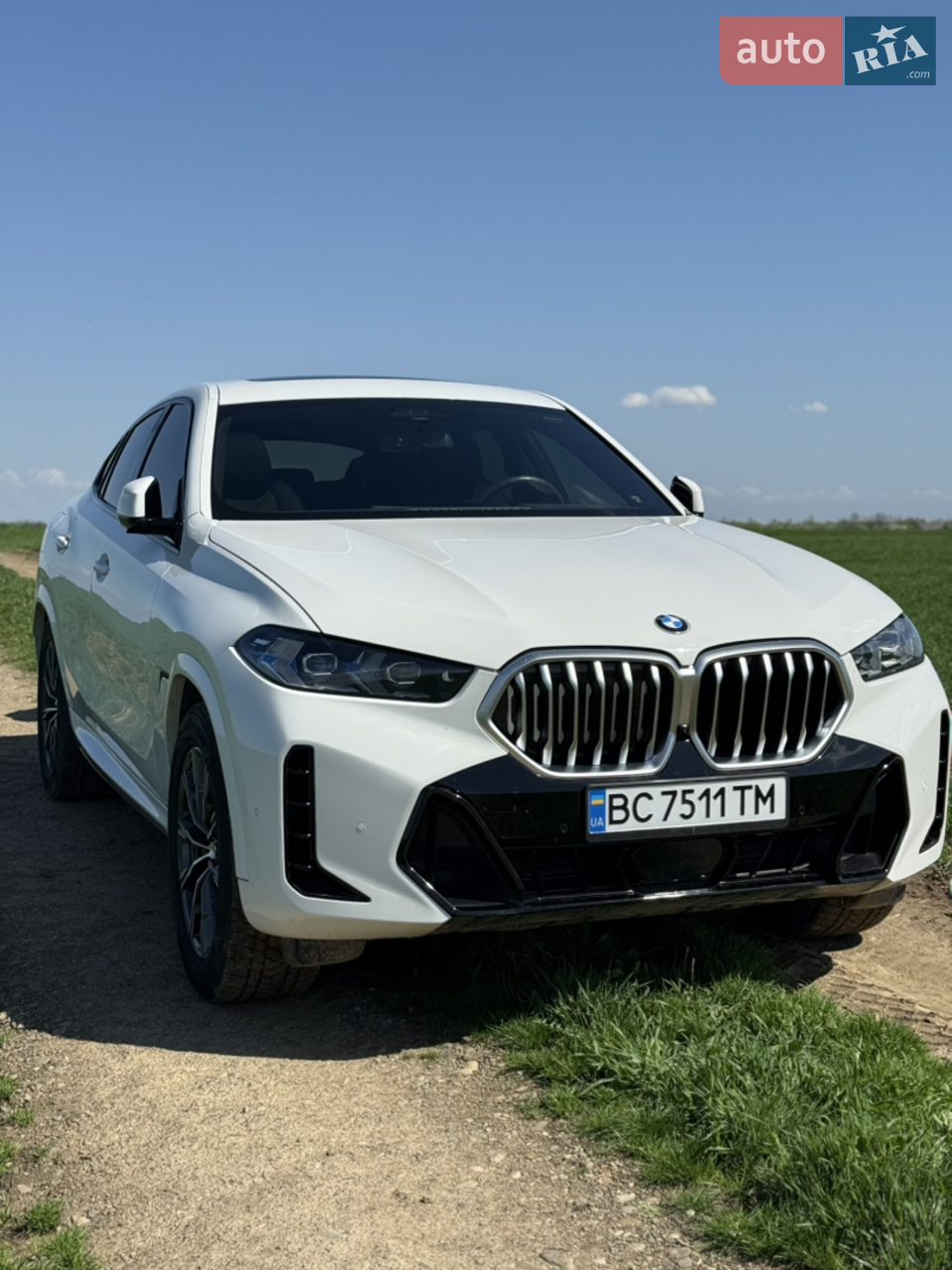 2022 BMW X6 - мініатюра 28