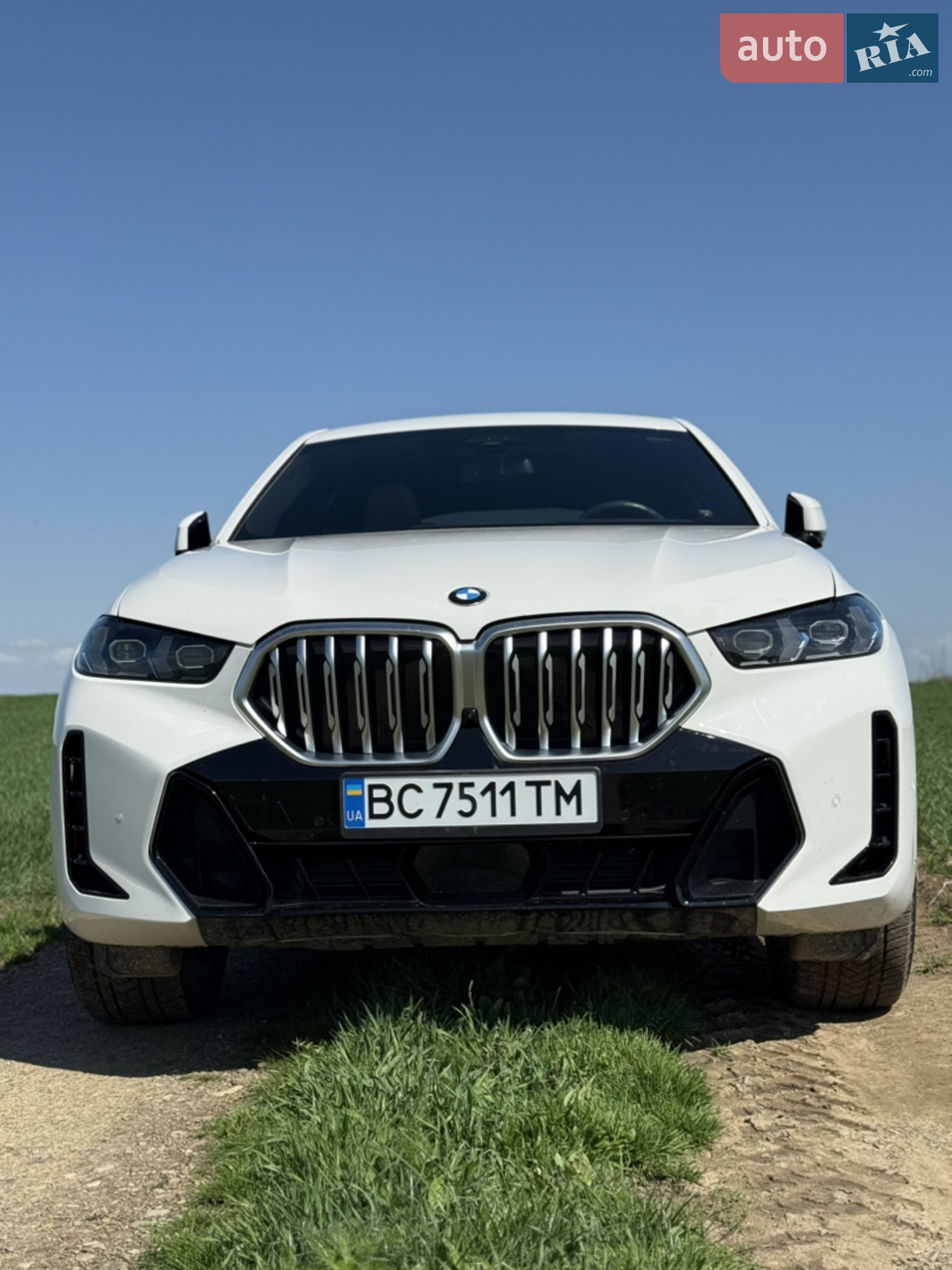 2023 BMW X6 - мініатюра 4