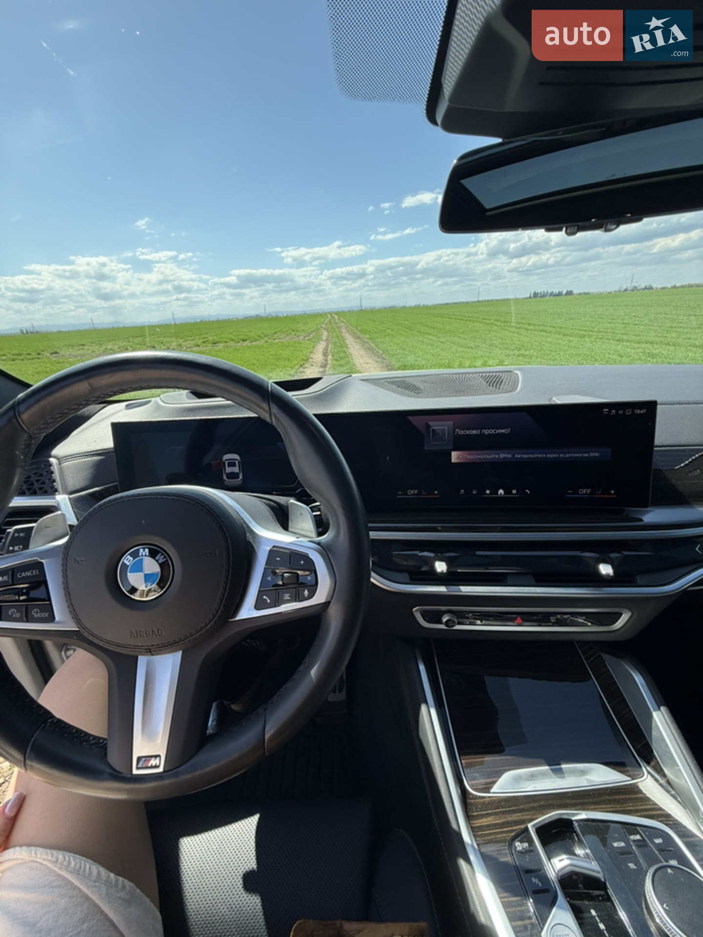 2023 BMW X6 - мініатюра 33