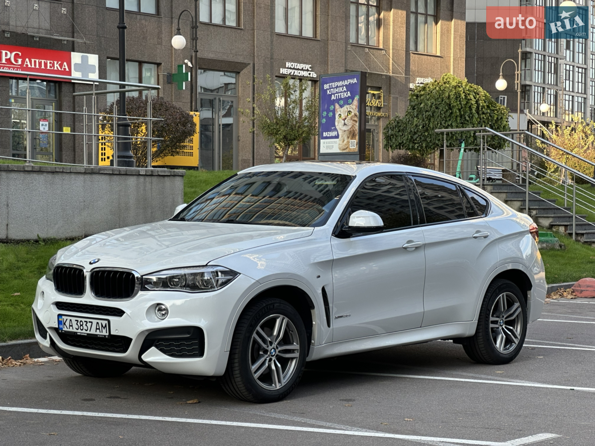 2018 BMW X6 - мініатюра 3