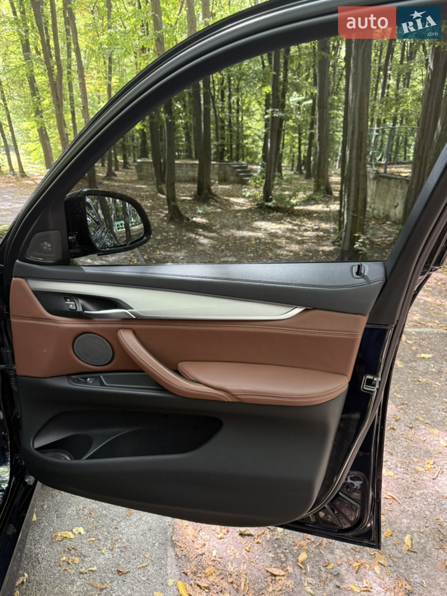 2019 BMW X6 - мініатюра 14