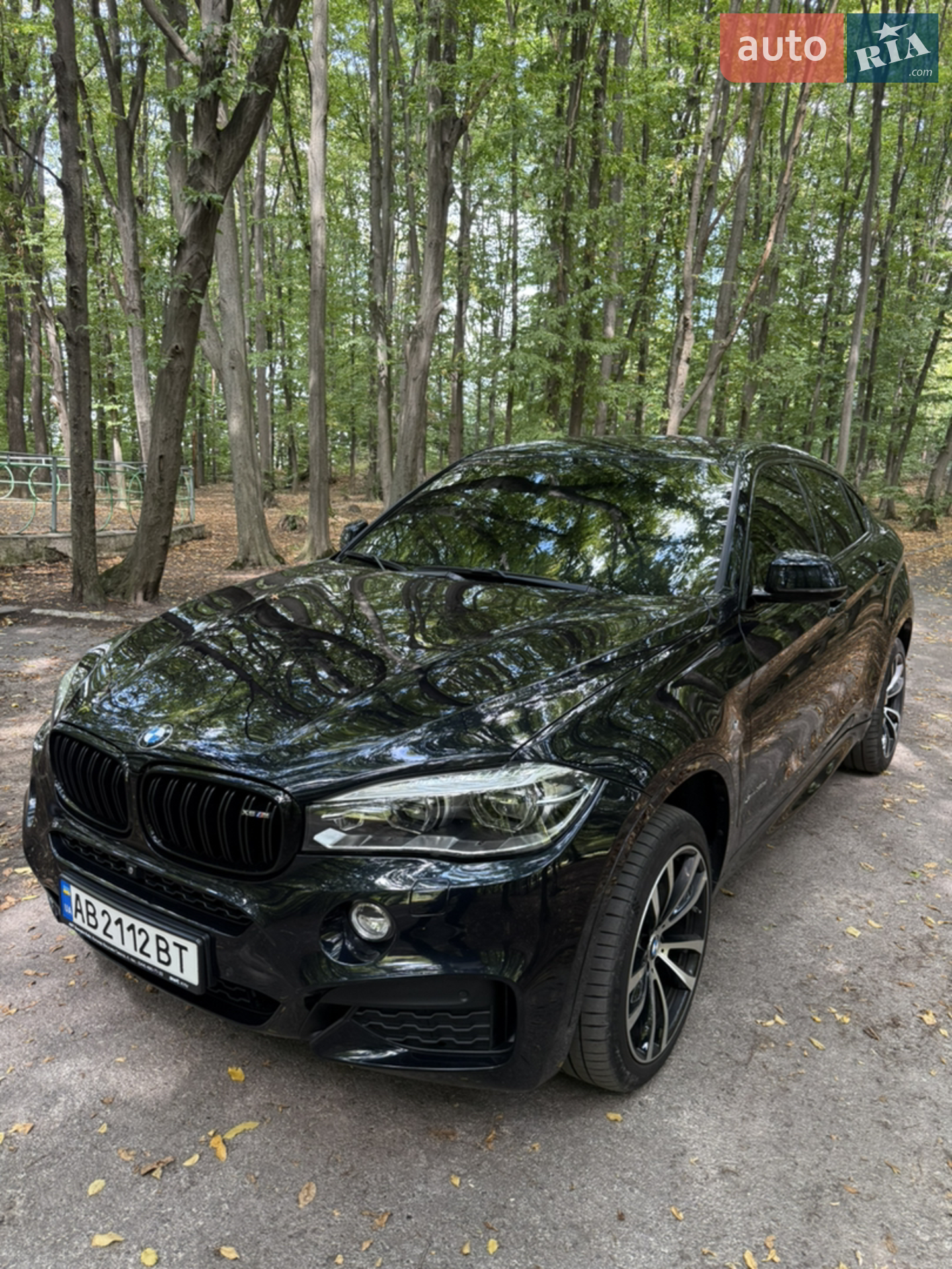 2019 BMW X6 - мініатюра 18