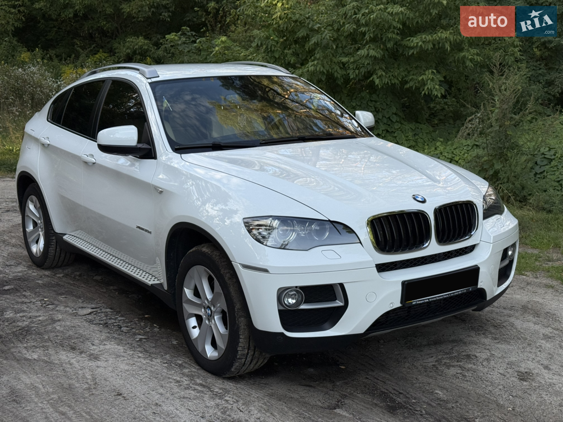 2013 BMW X6 - мініатюра 2