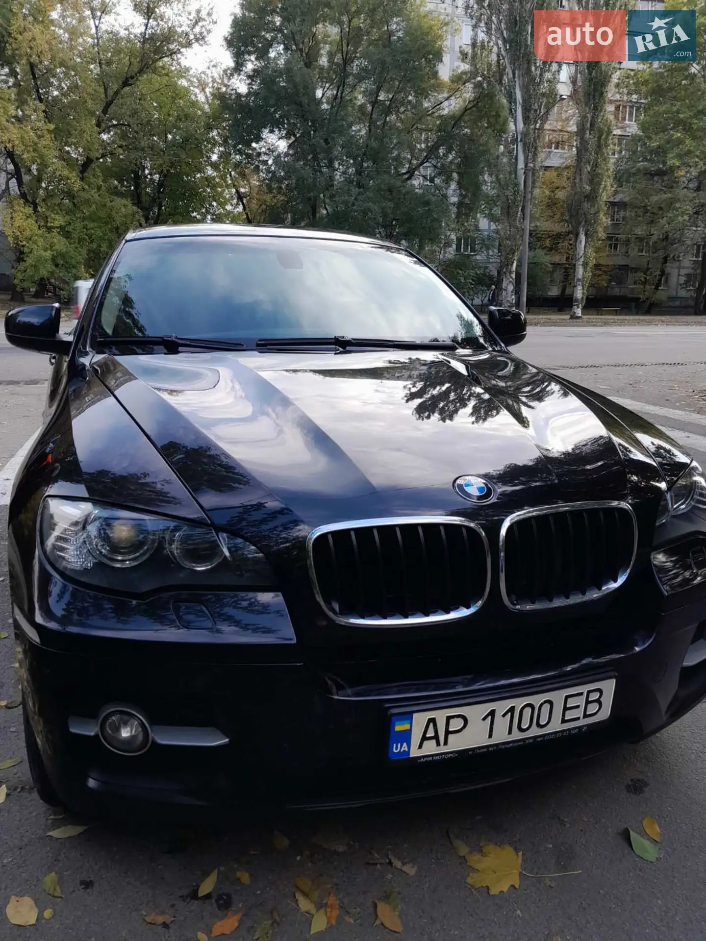 2011 BMW X6 - мініатюра 4
