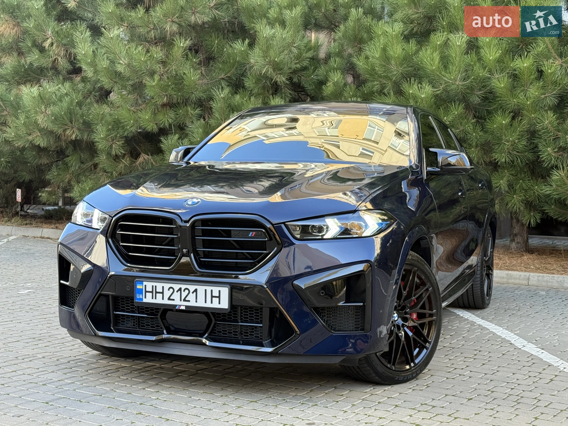 2020 BMW X6 - мініатюра 7