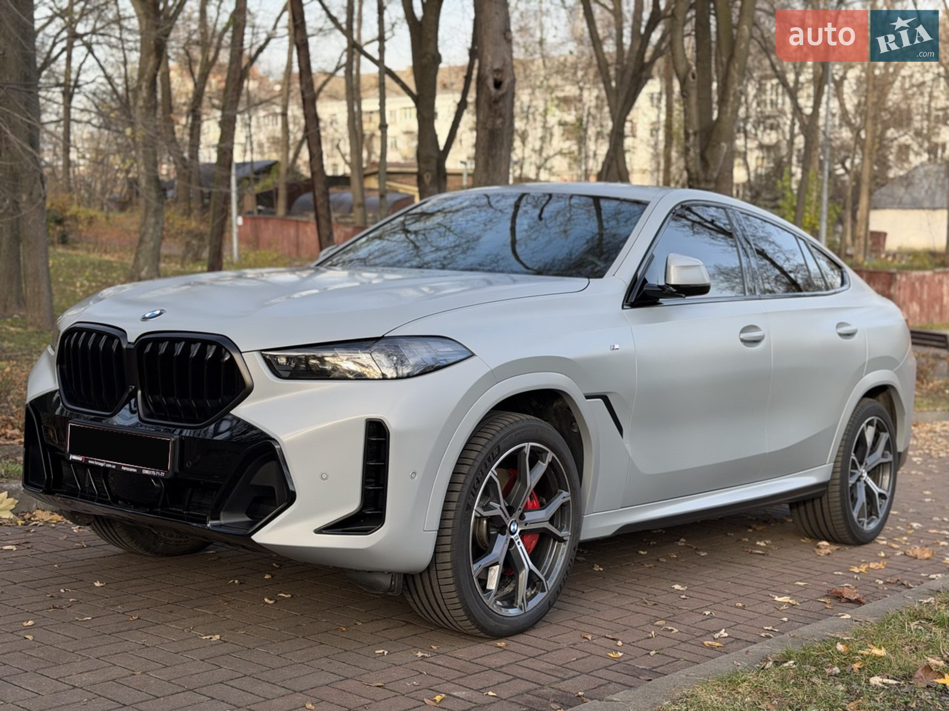 2023 BMW X6 - мініатюра 4