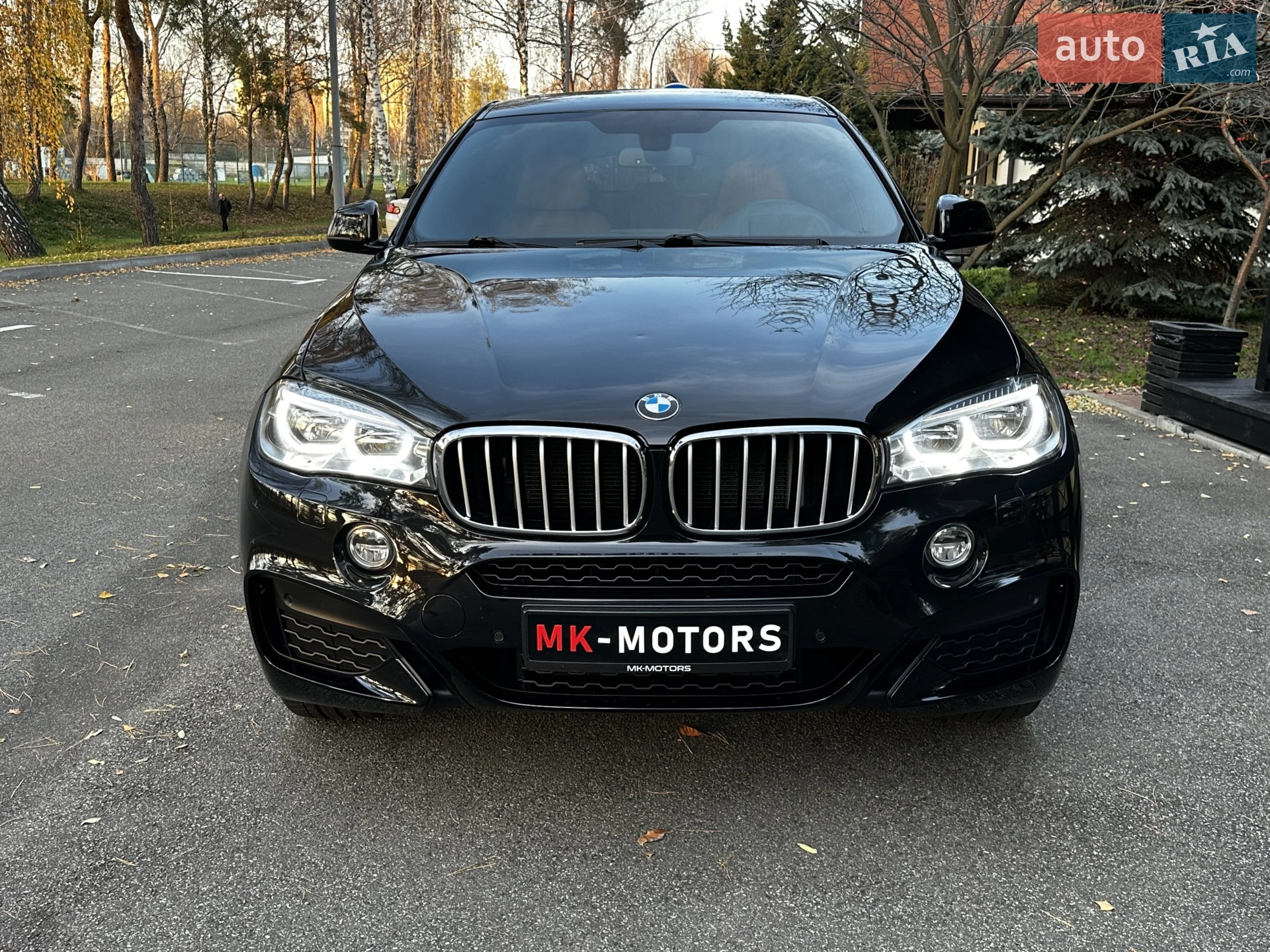 2015 BMW X6 - мініатюра 28